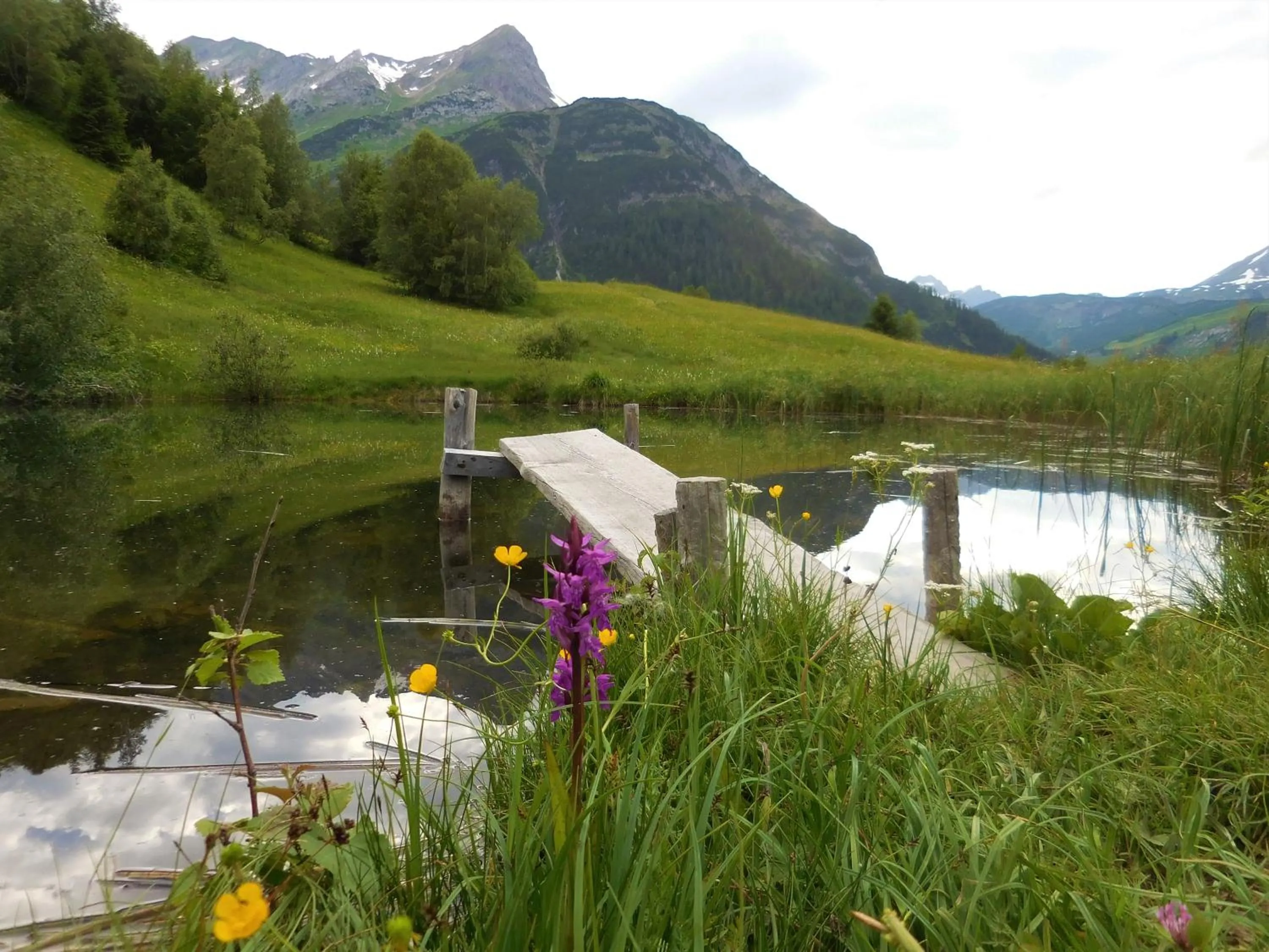 Summer in Hotel Styrolerhof