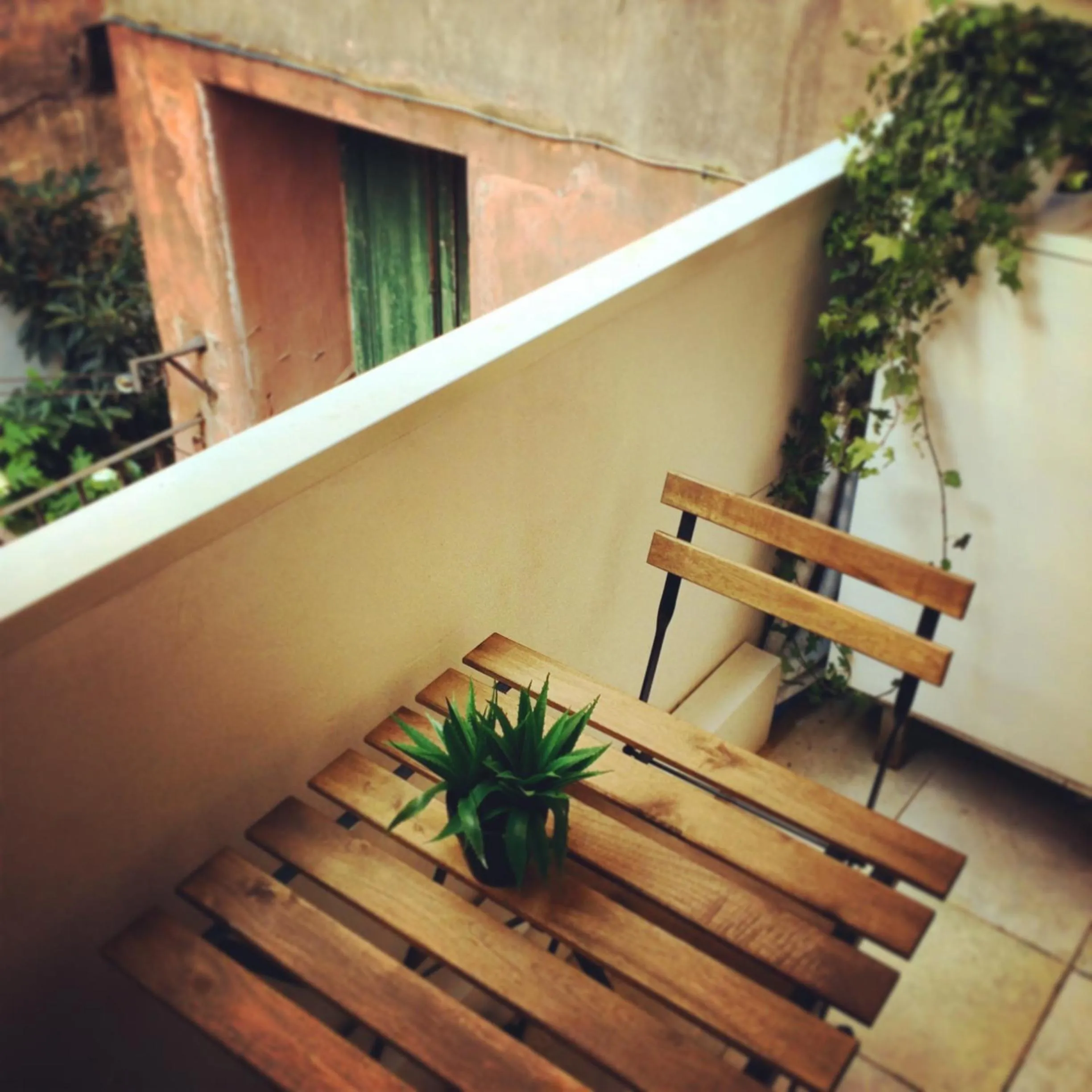 Area and facilities in Cibele Bed&Breakfast