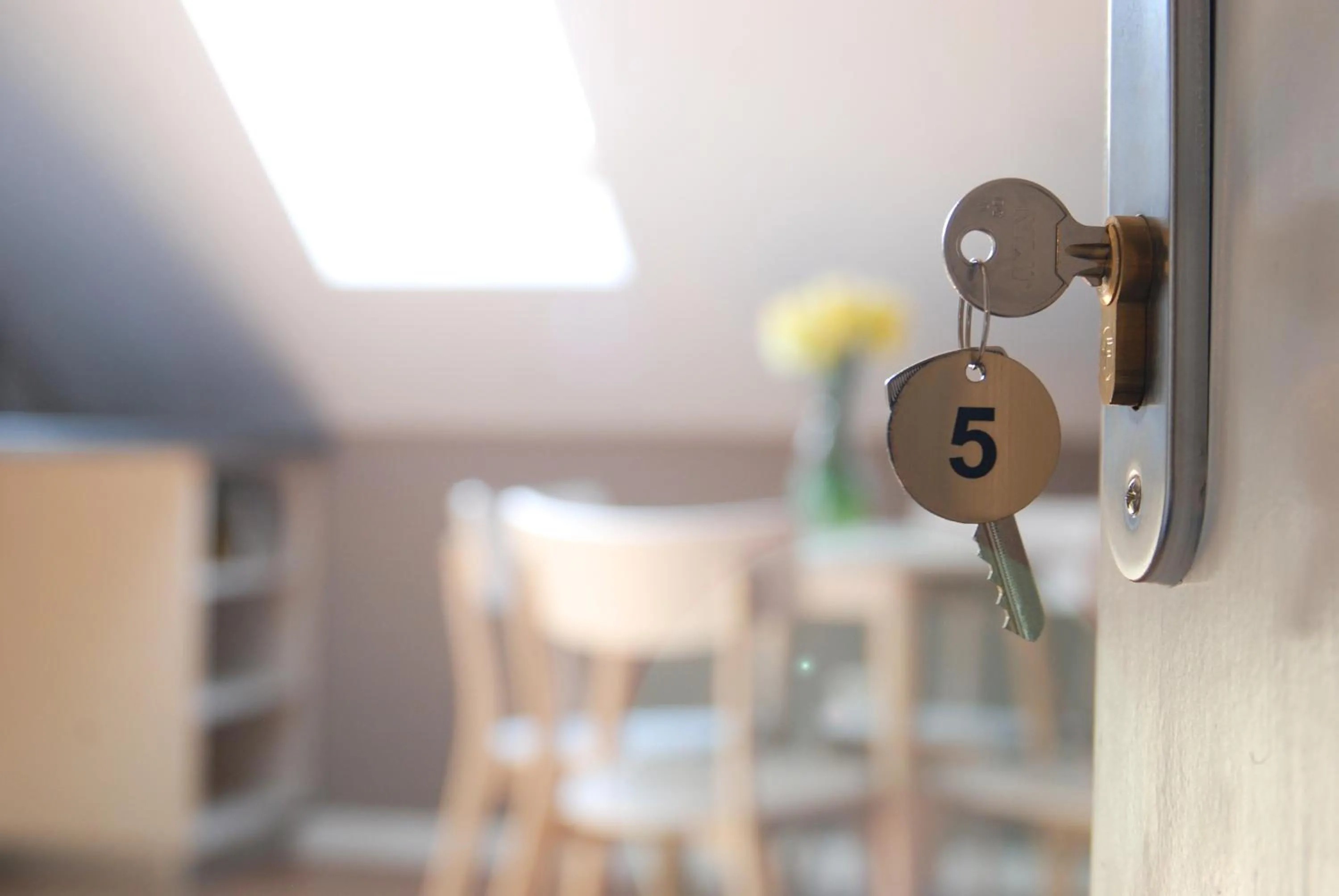 Deluxe Suite in Apartment House Timisoara