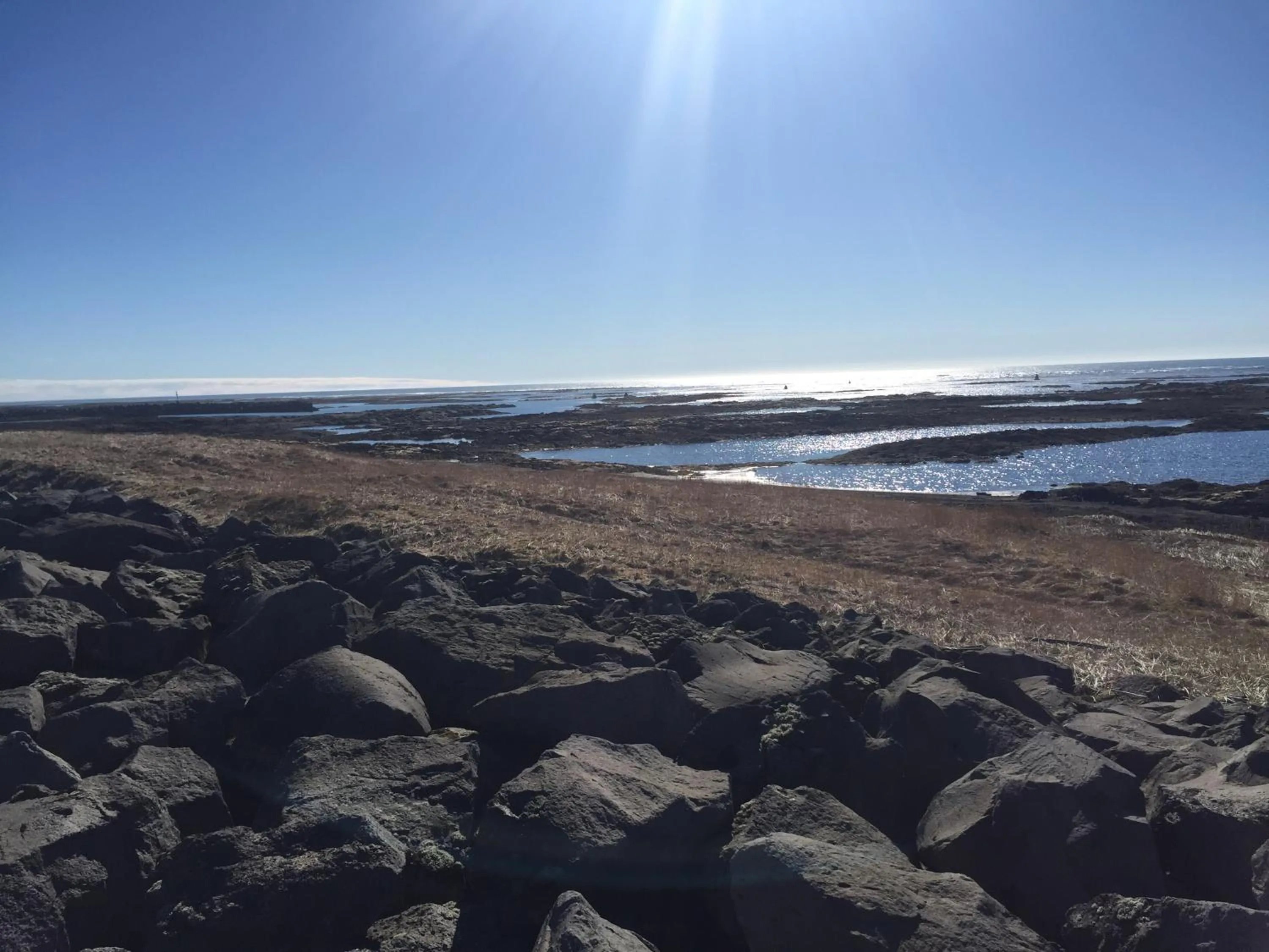 Beach in Ocean Beach Apartments
