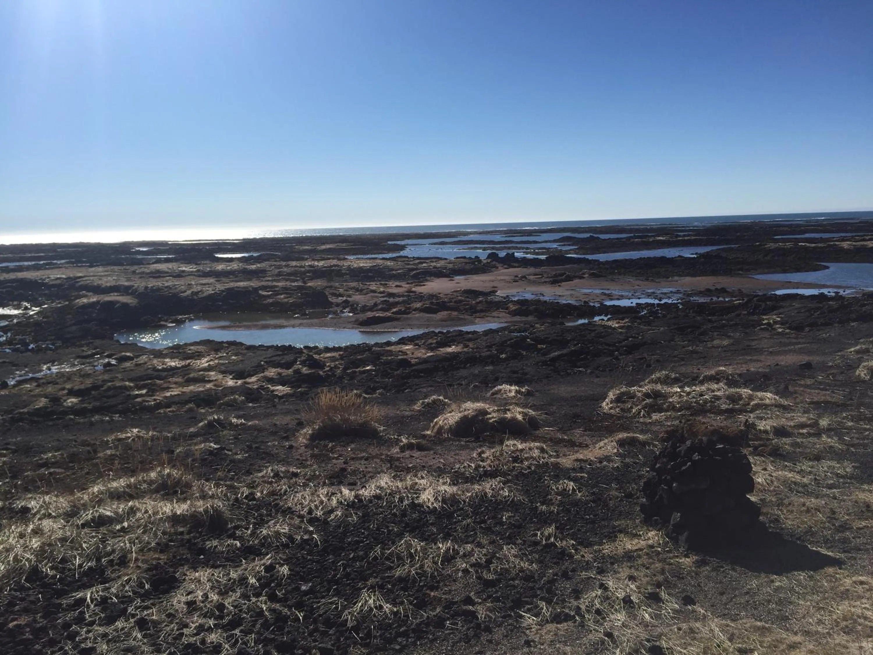 Ocean Beach Apartments