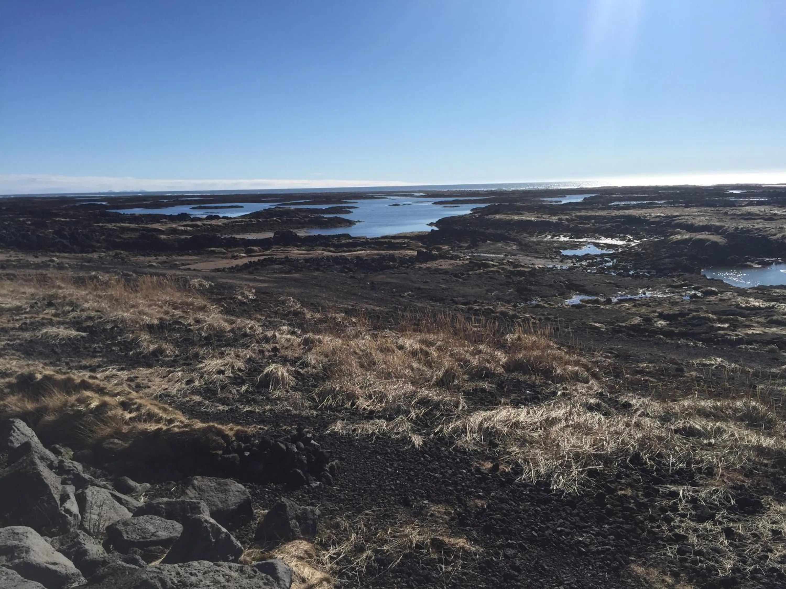 Ocean Beach Apartments