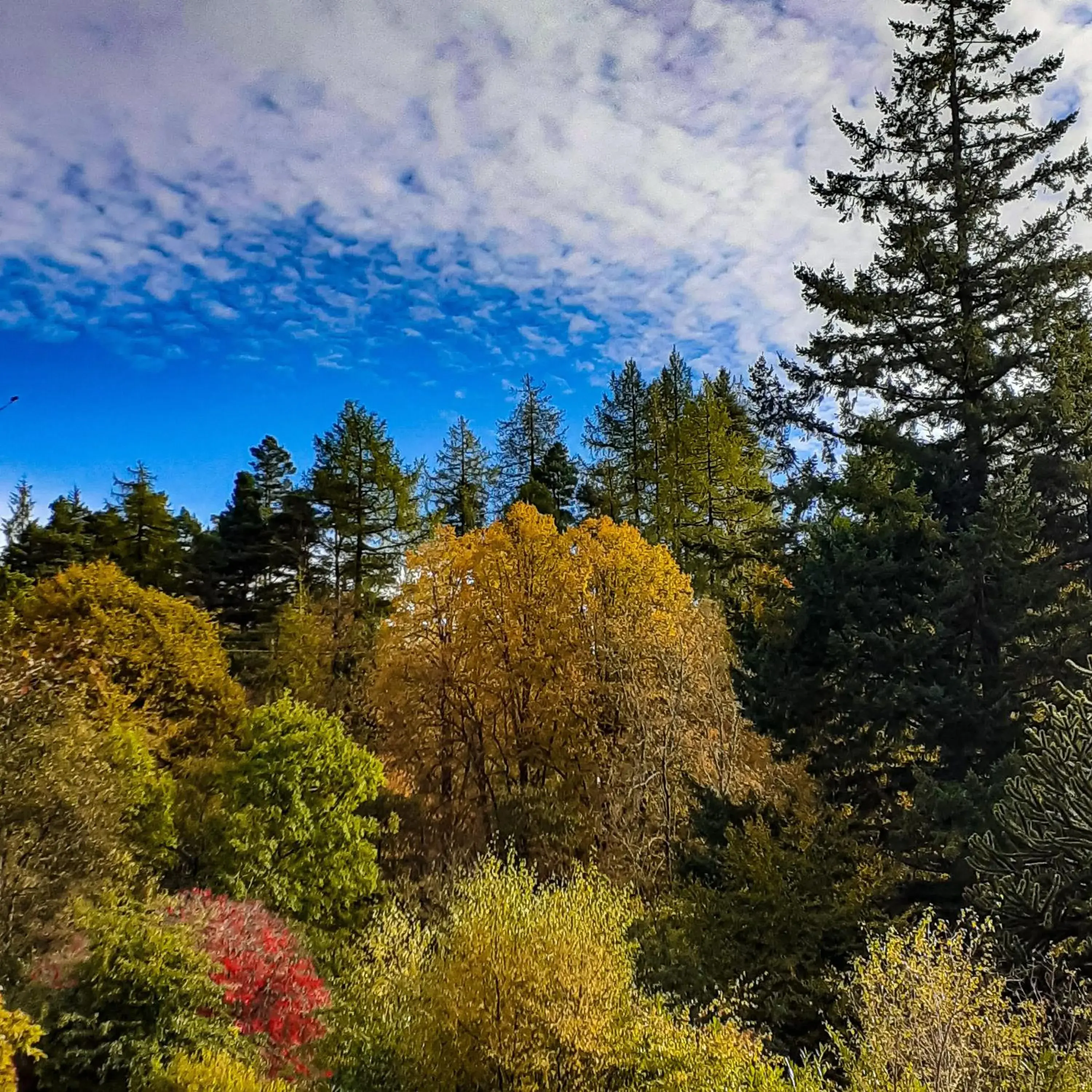 View (from property/room) in The White Stag Inn View (from property/room) in The White Stag Inn