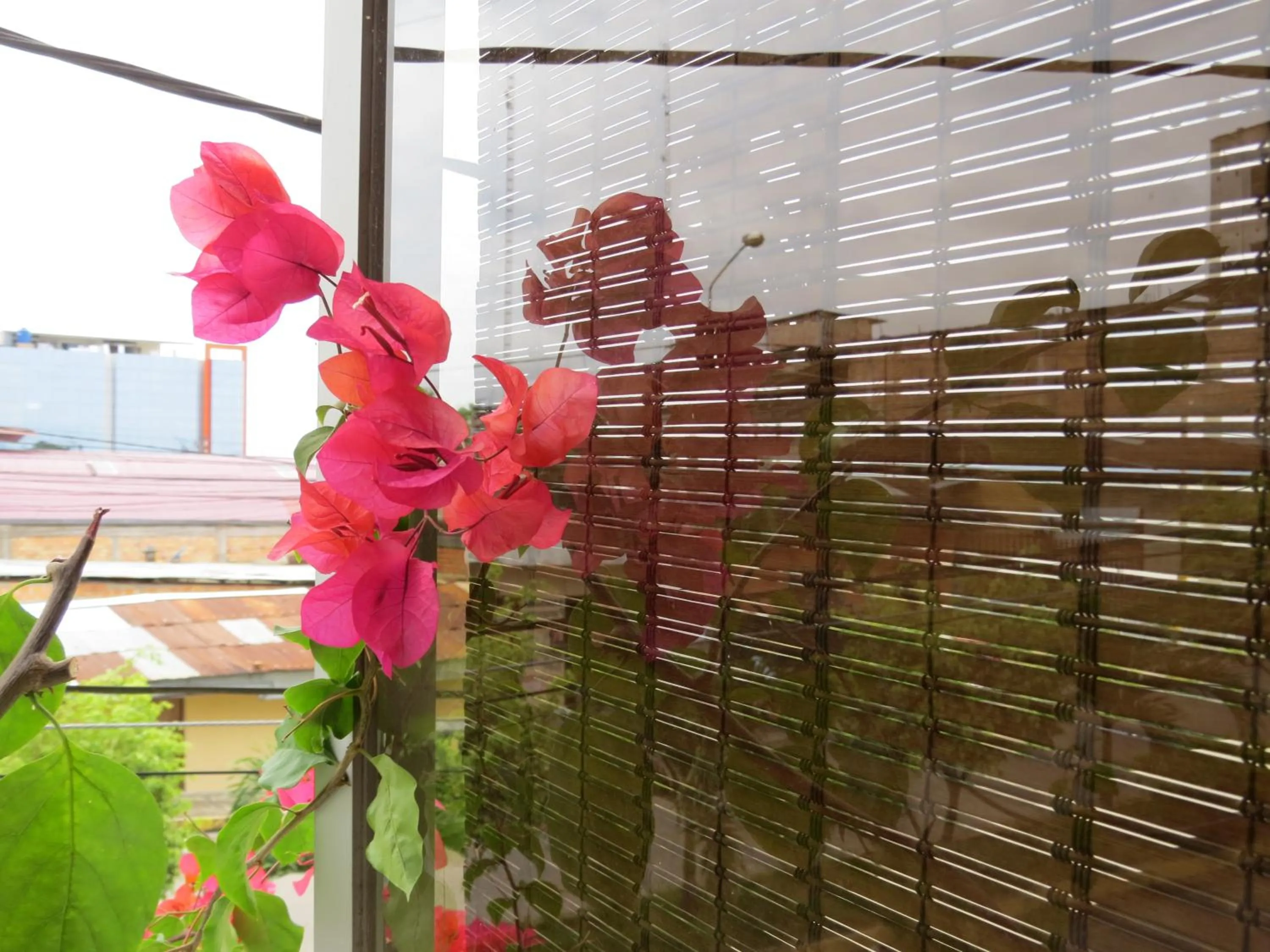 Decorative detail in Flor del Valle Posada