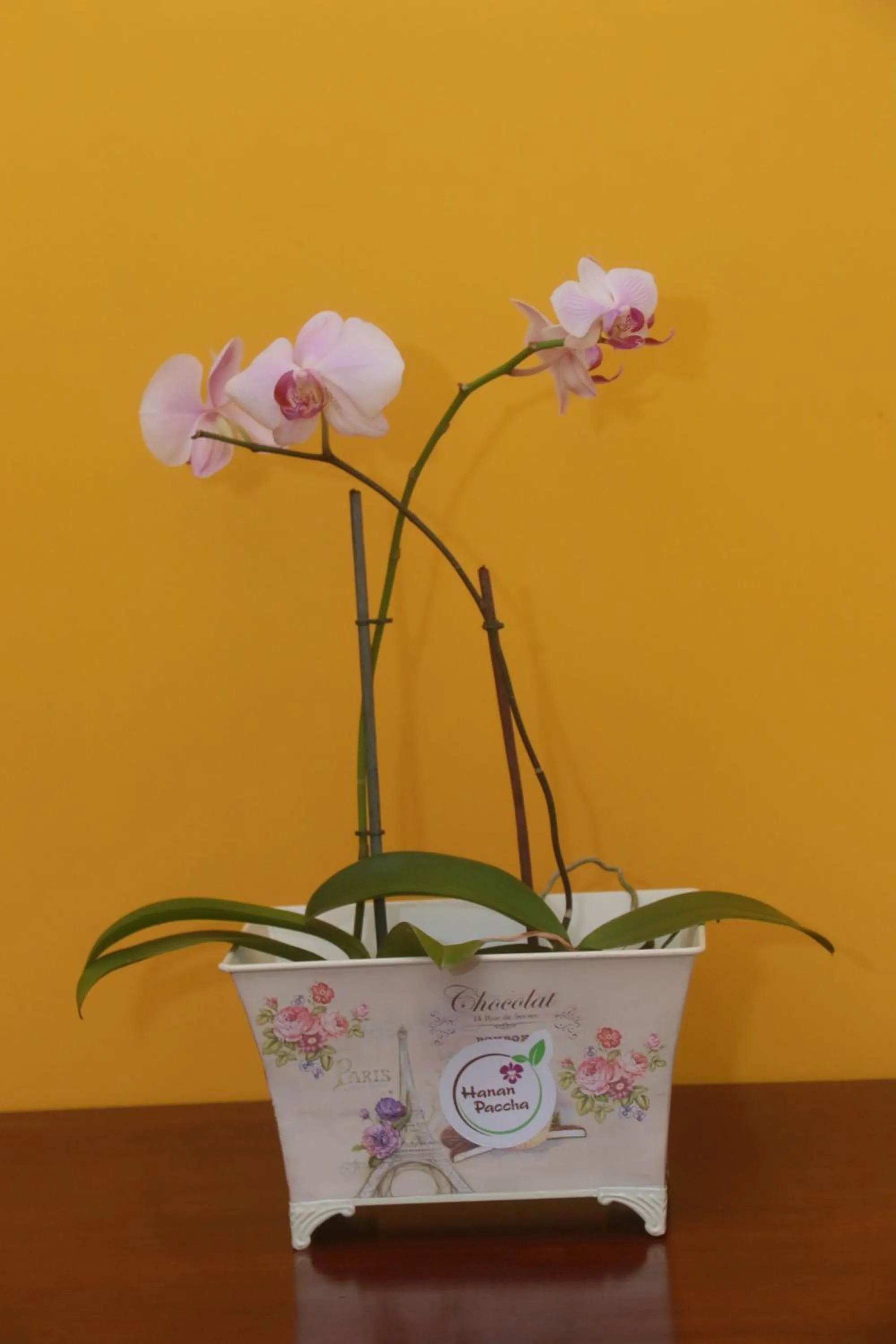 Decorative detail in Flor del Valle Posada