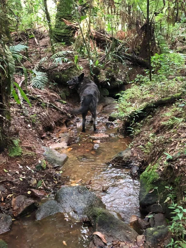Photo of the whole room in Pousada Chalés da Lua