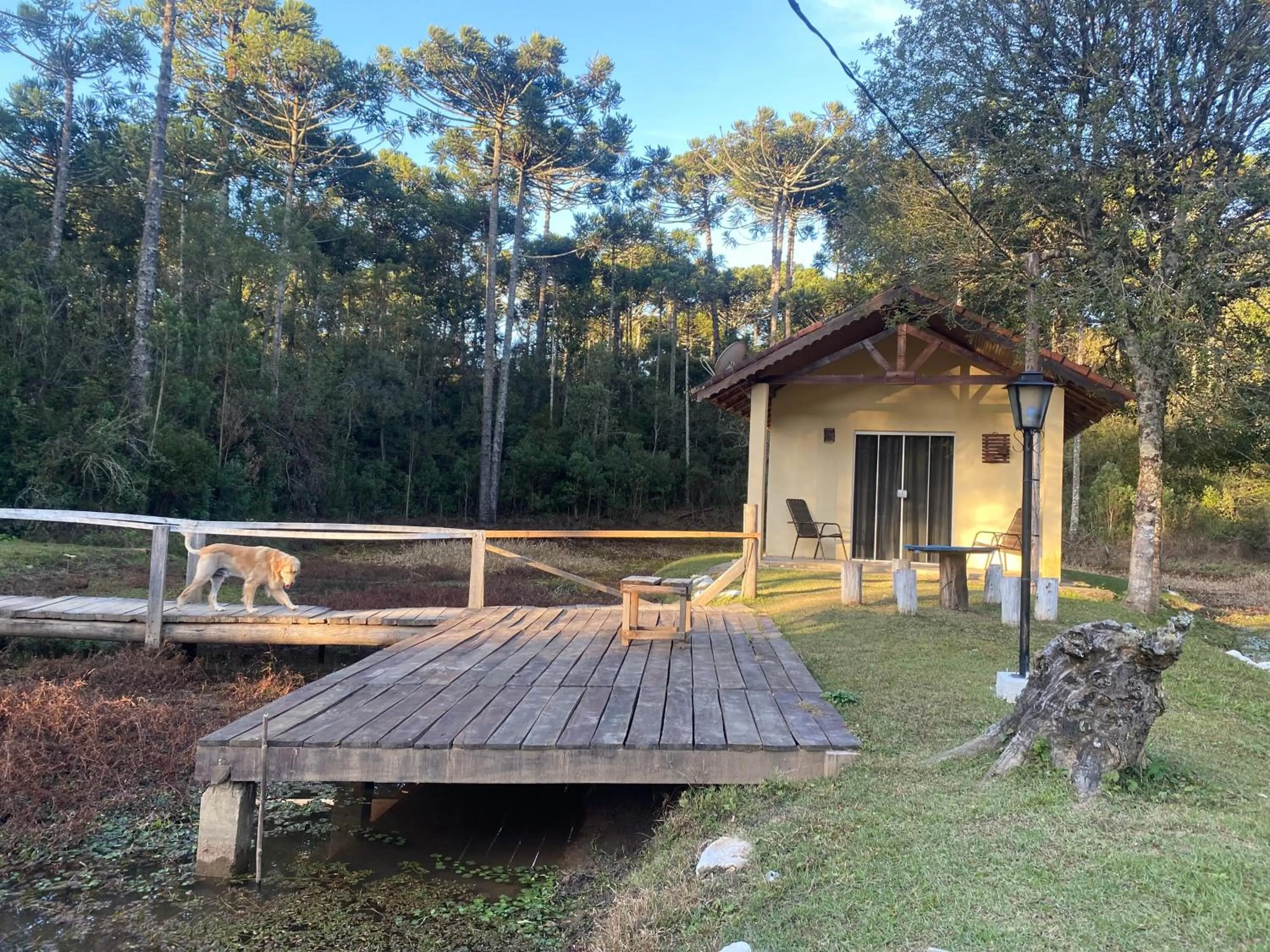 Garden view in Pousada Chalés da Lua