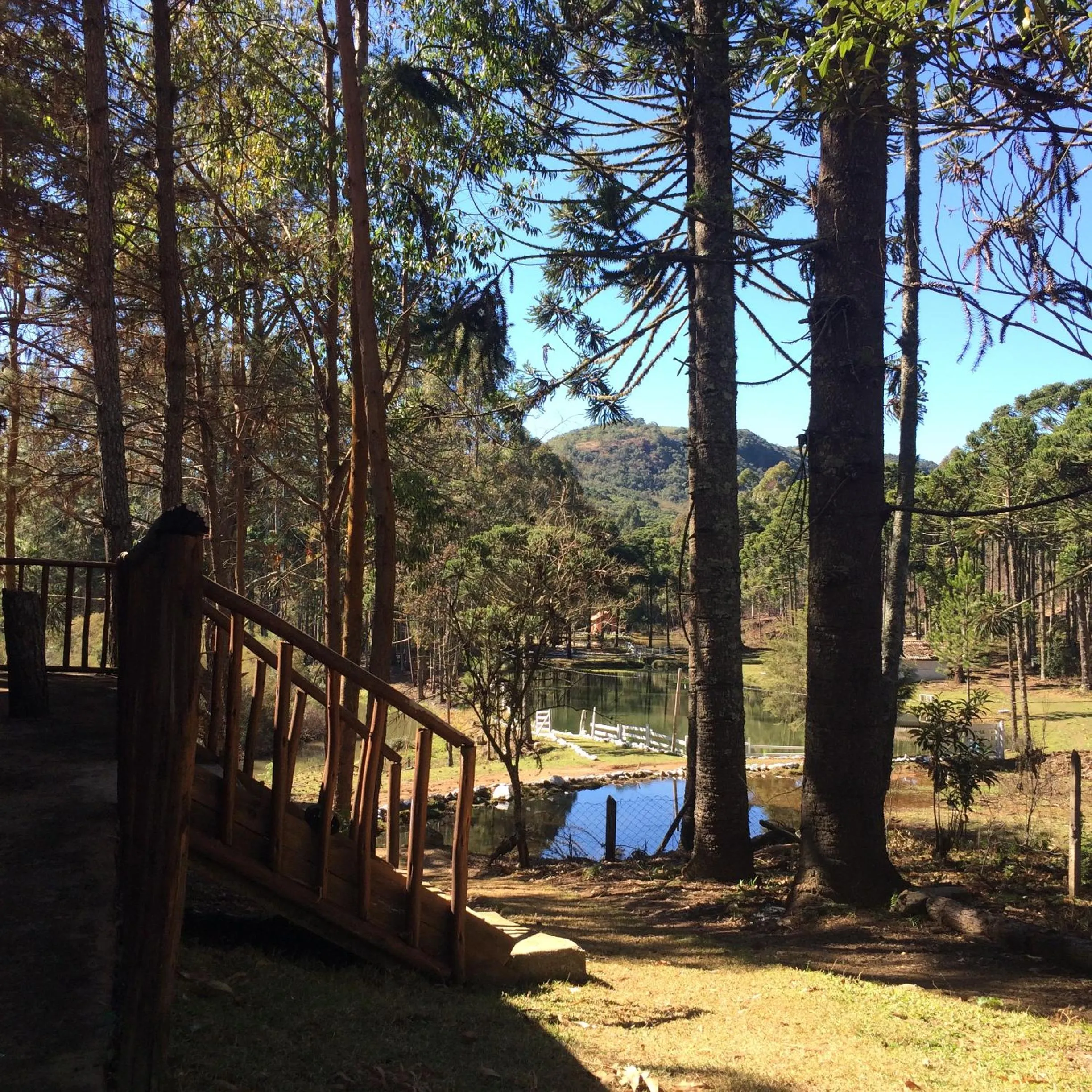 Restaurant/places to eat in Pousada Chalés da Lua