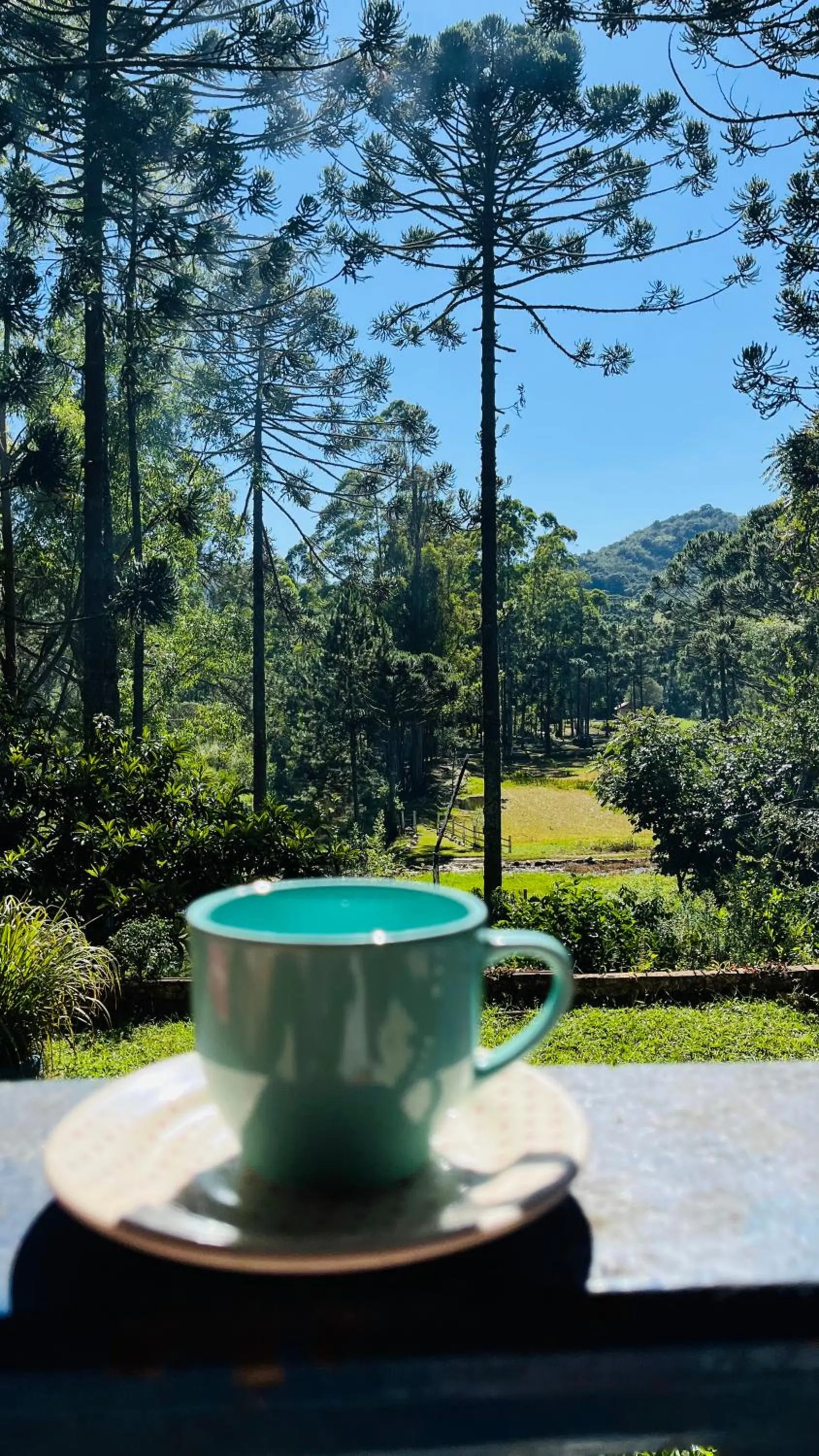 Pousada Chalés da Lua