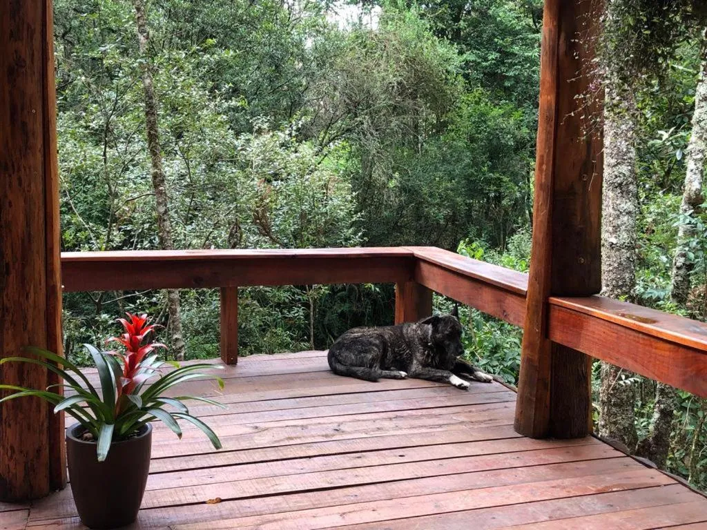 Garden view in Pousada Chalés da Lua