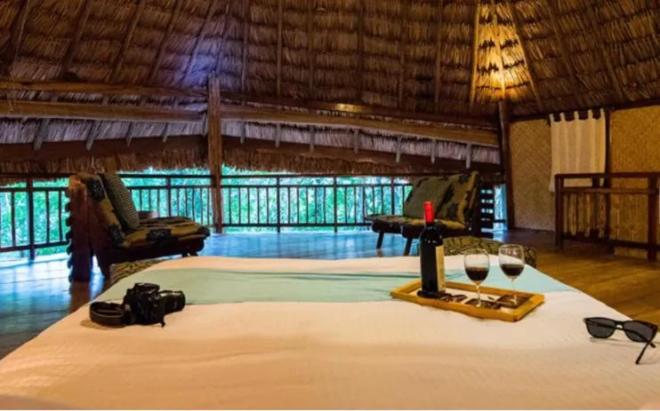 The Barefoot At Havelock