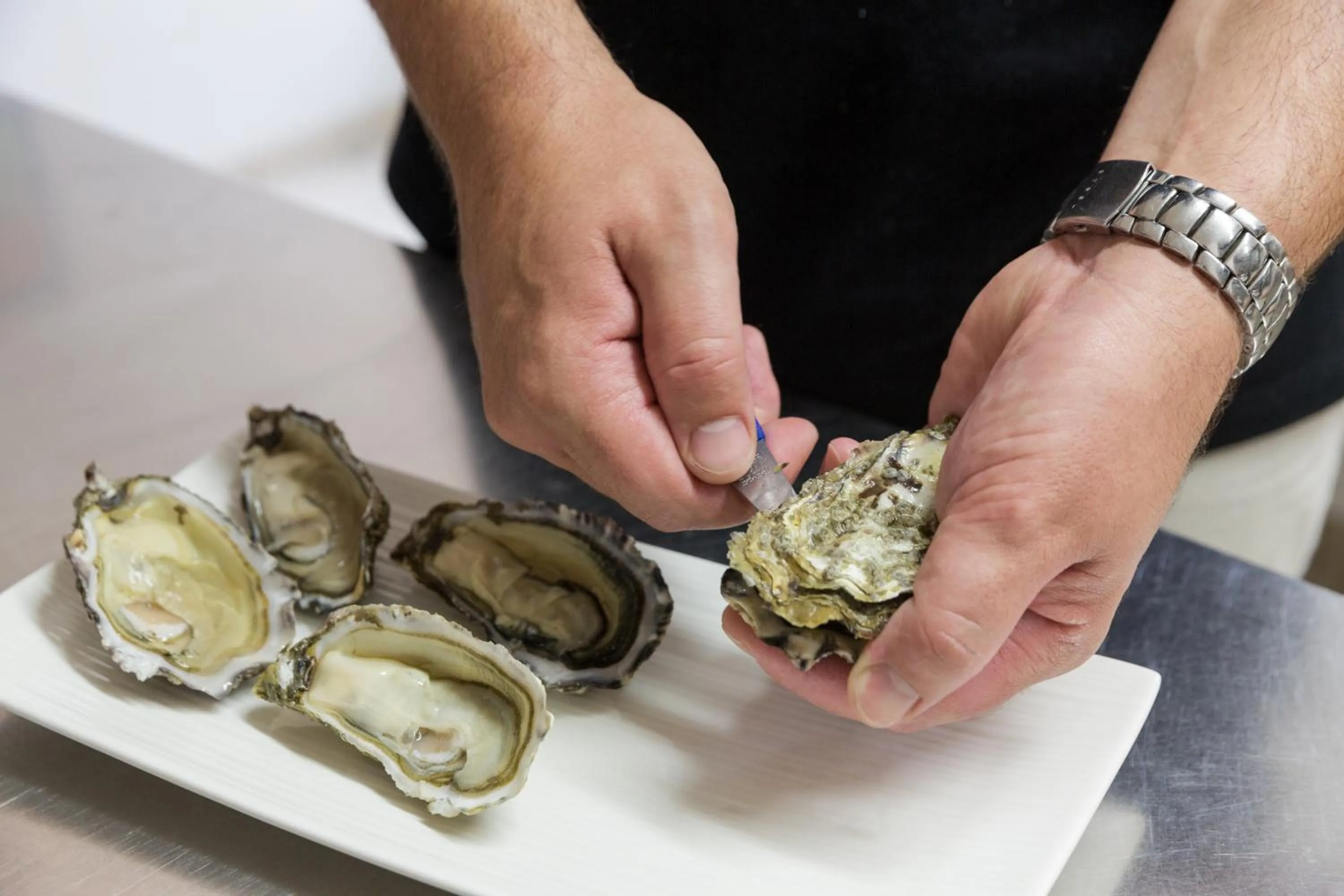 Meals in Domaine Le Martinet, The Originals Relais