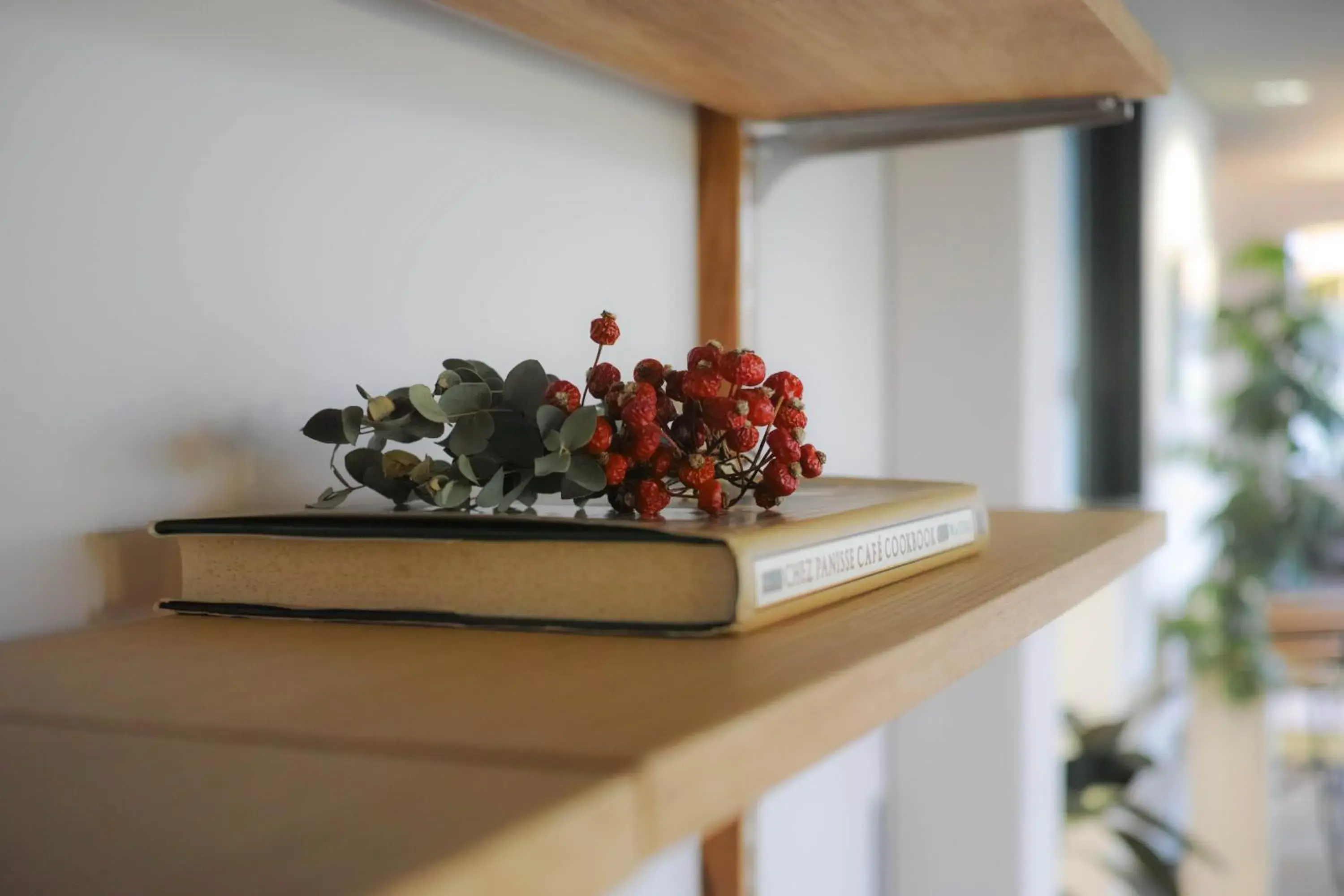 Lobby or reception in sararaso Lobby or reception in sararaso