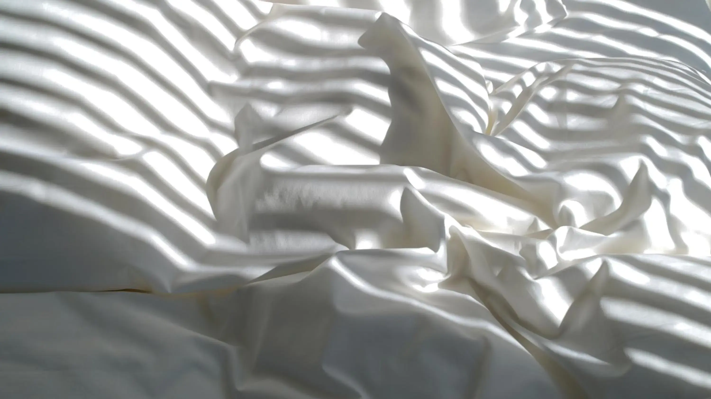 Bedroom in sararaso Bedroom in sararaso