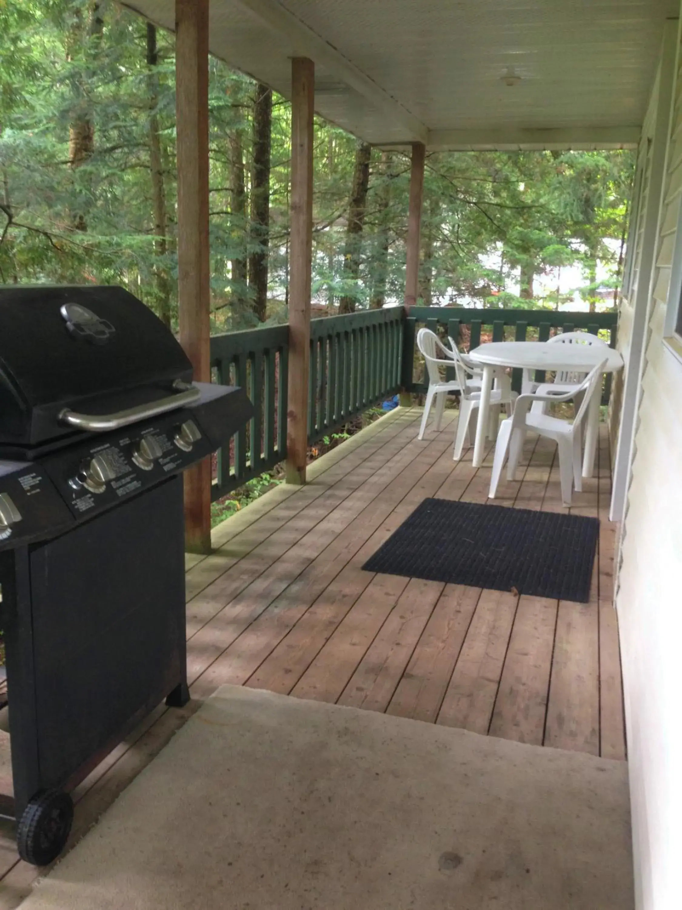 Patio, BBQ Facilities in High Falls Bay Cottages, Camping & Waterpark