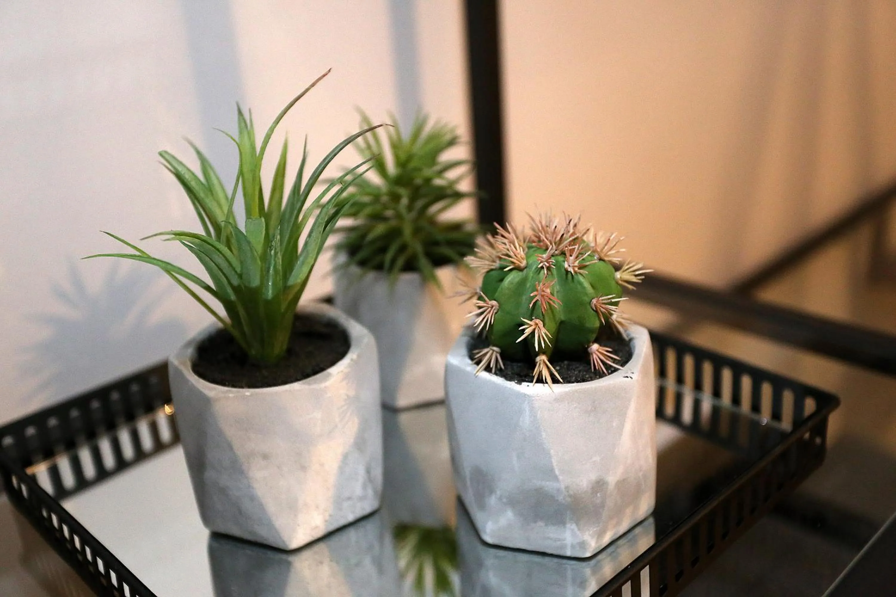 Decorative detail in Prestige design rooms