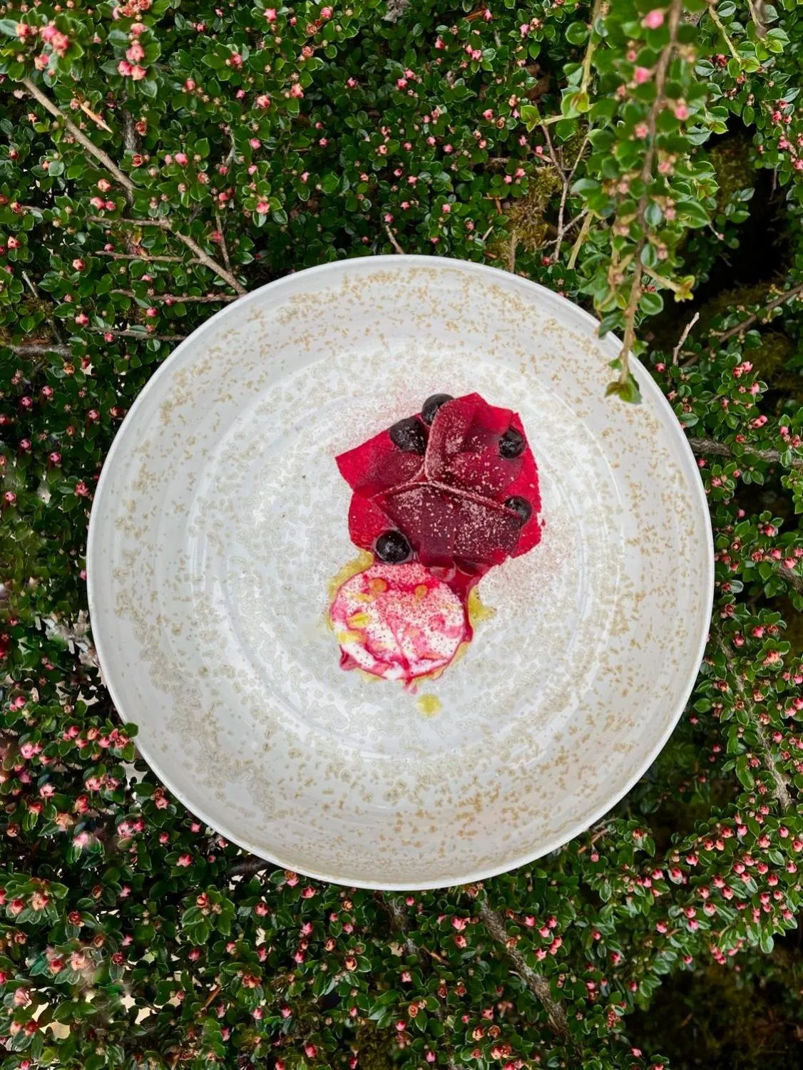 Restaurant/places to eat in Maison Zugno Hôtel & Spa