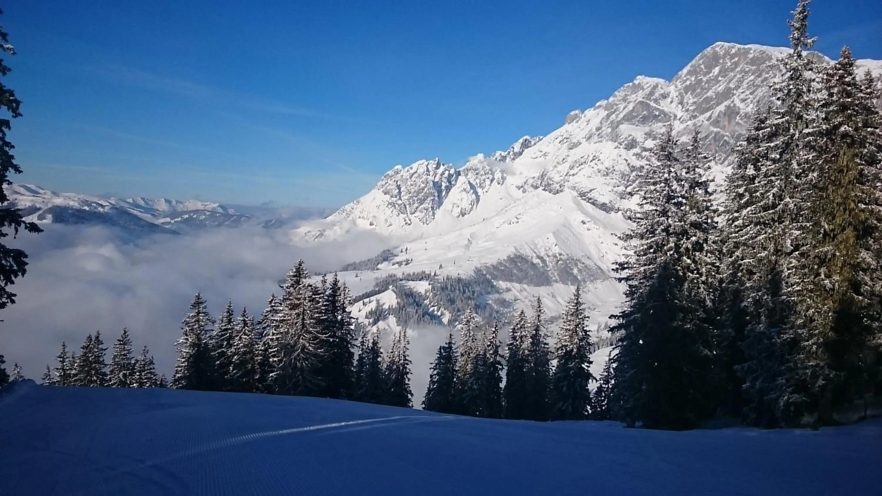 Skiing in Appartmenthaus Hochkönig