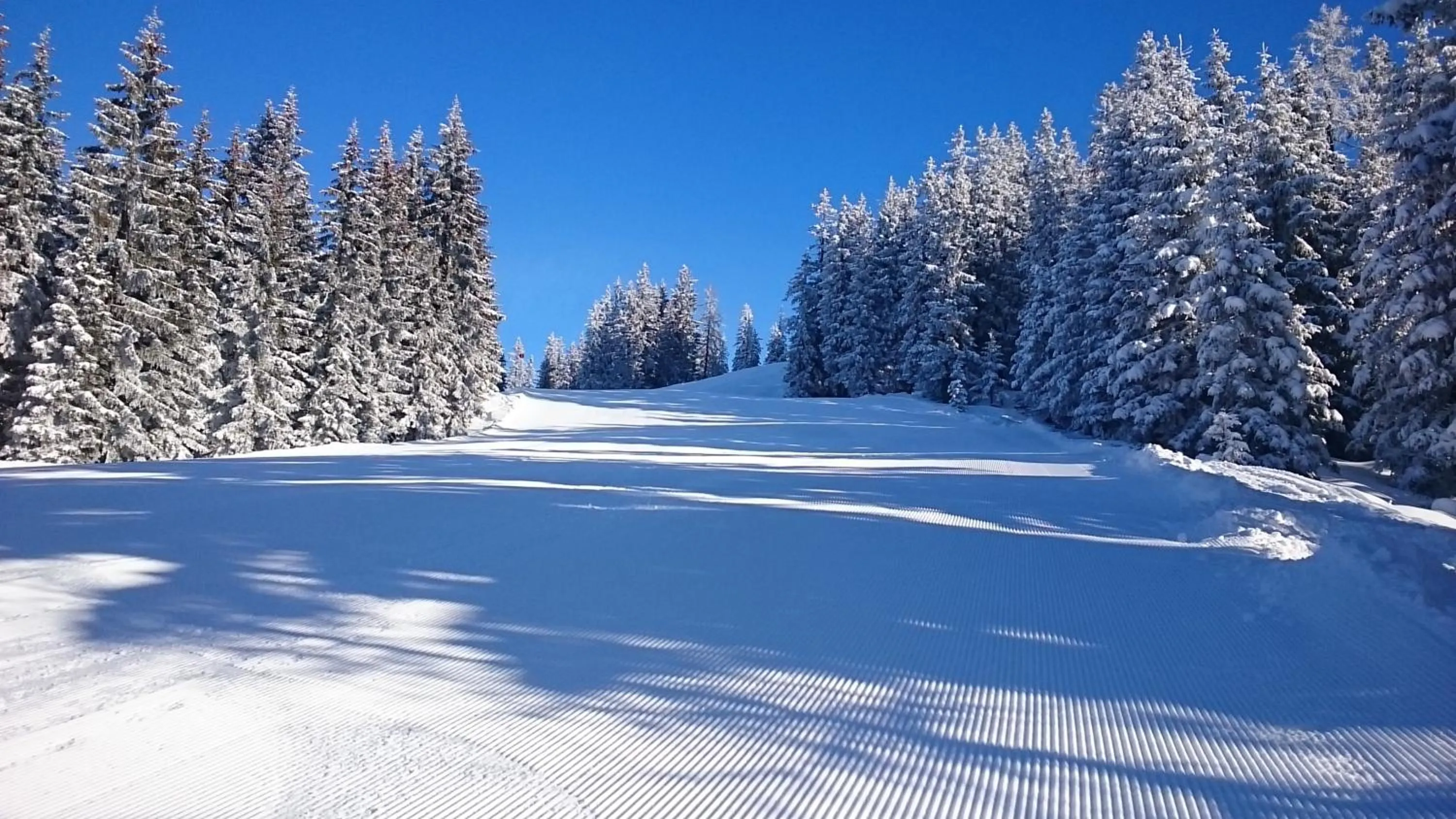 Skiing in Appartmenthaus Hochkönig