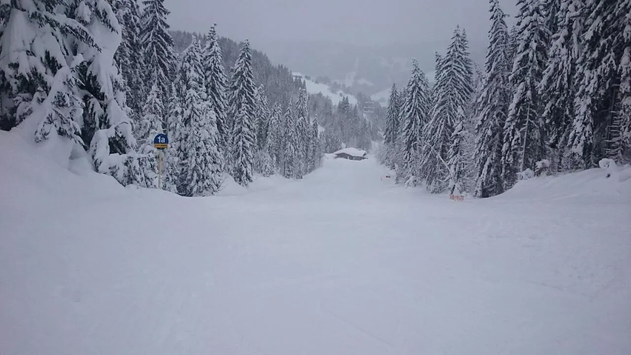 Skiing in Appartmenthaus Hochkönig