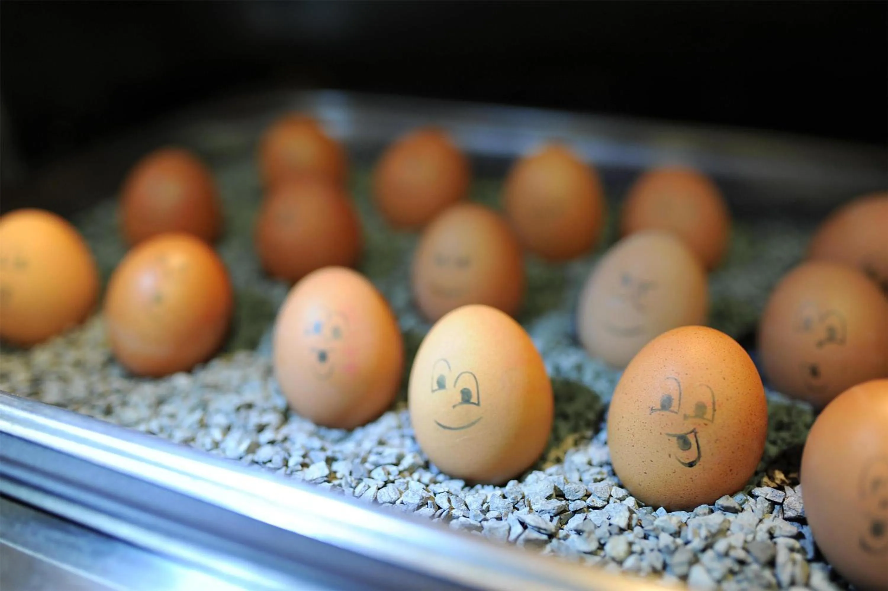 Breakfast in Best Western Plus Kurhotel an der Obermaintherme