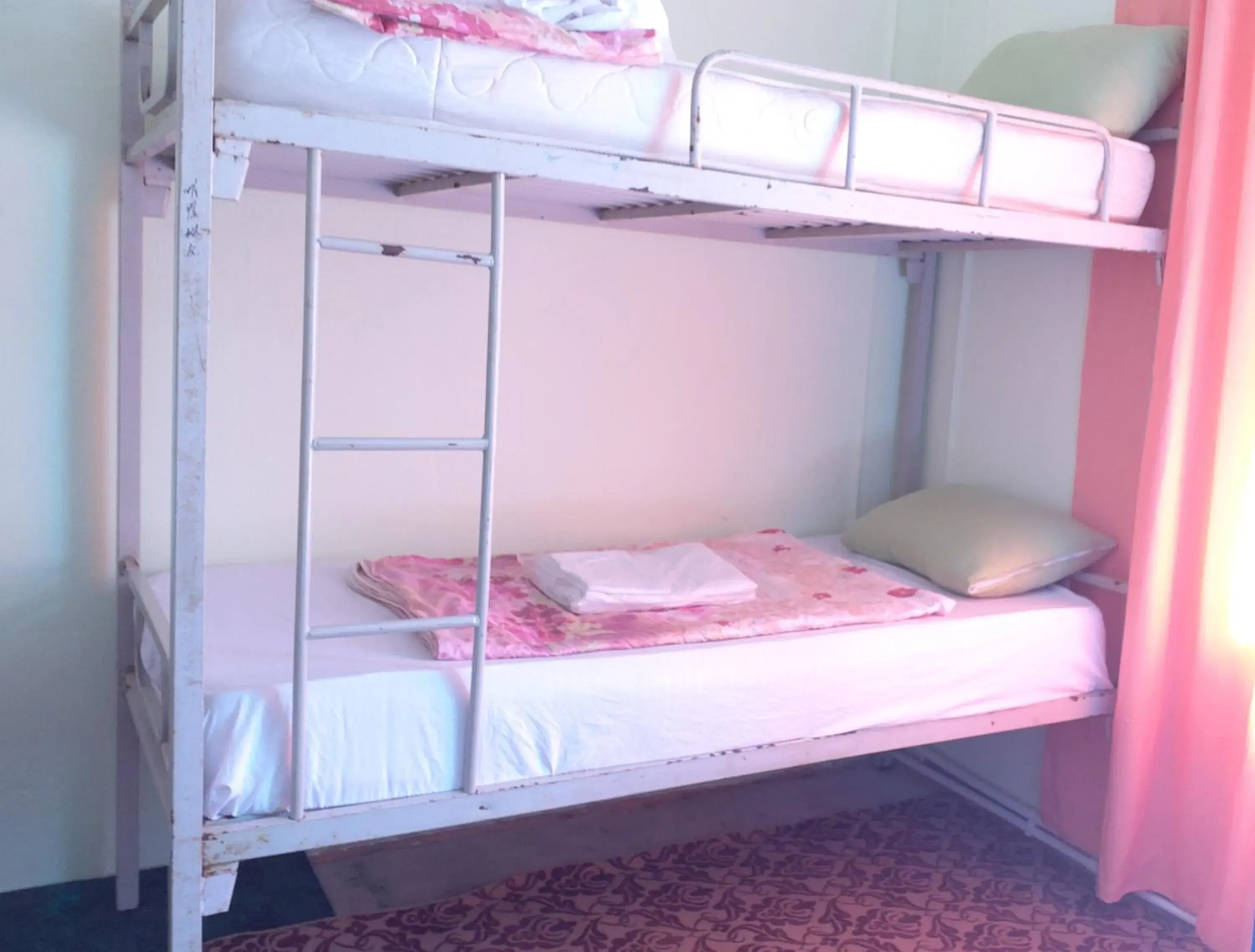 Bunk Bed in Female Dormitory Room in Canal Hostel Bunk Bed in Female Dormitory Room in Canal Hostel