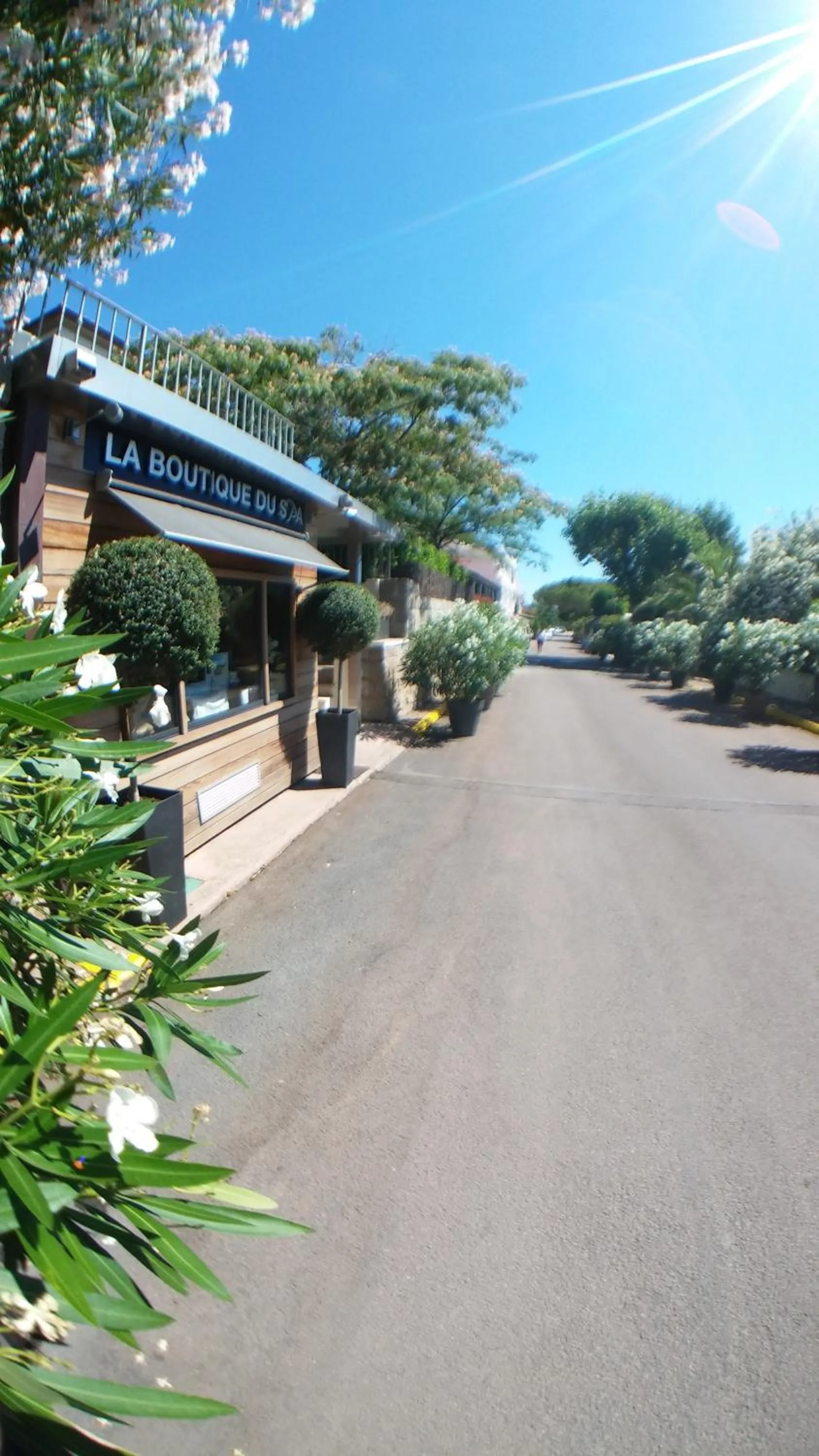 Other in Le Pinarello