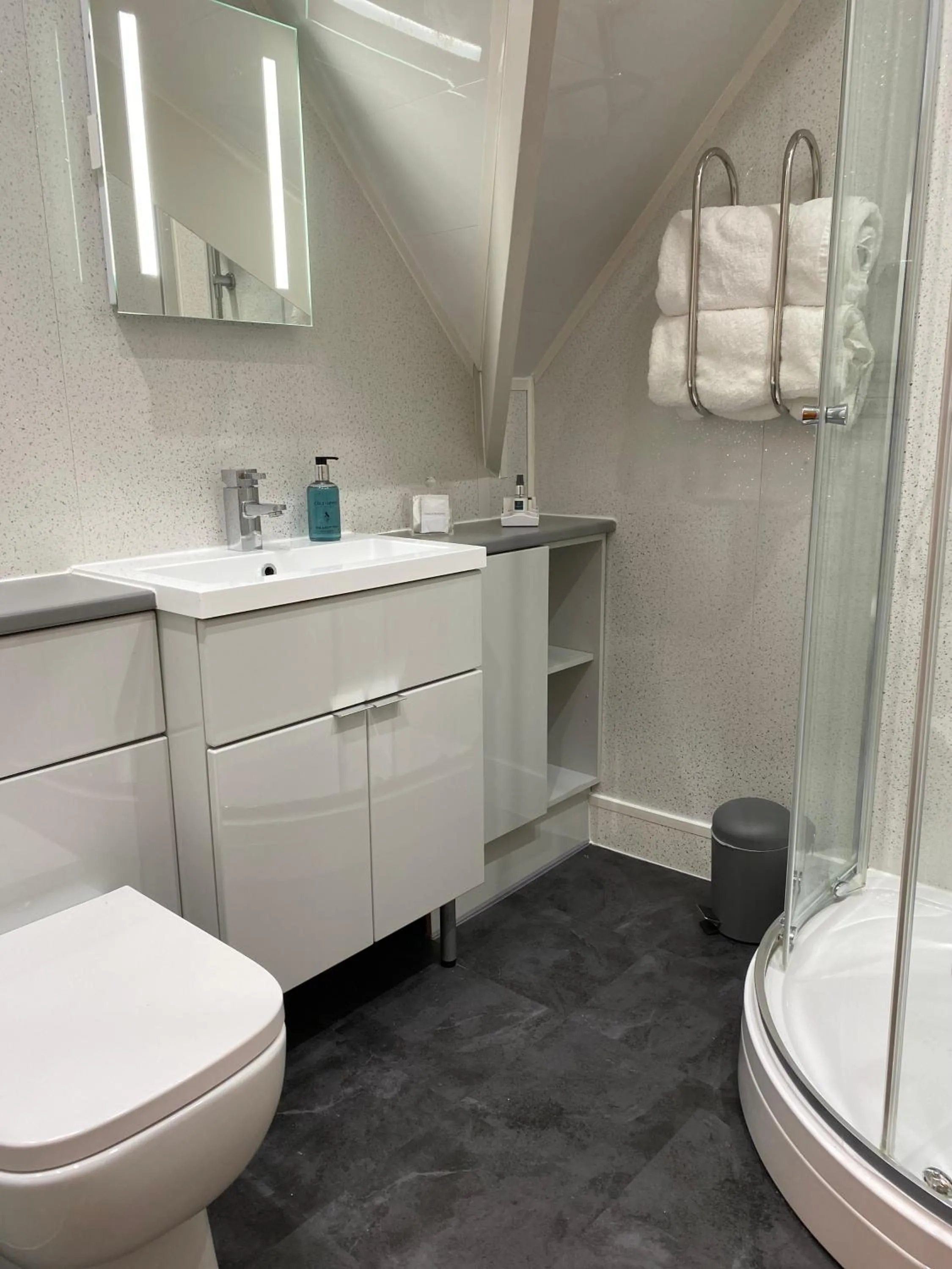 Toilet in Ashbourne House