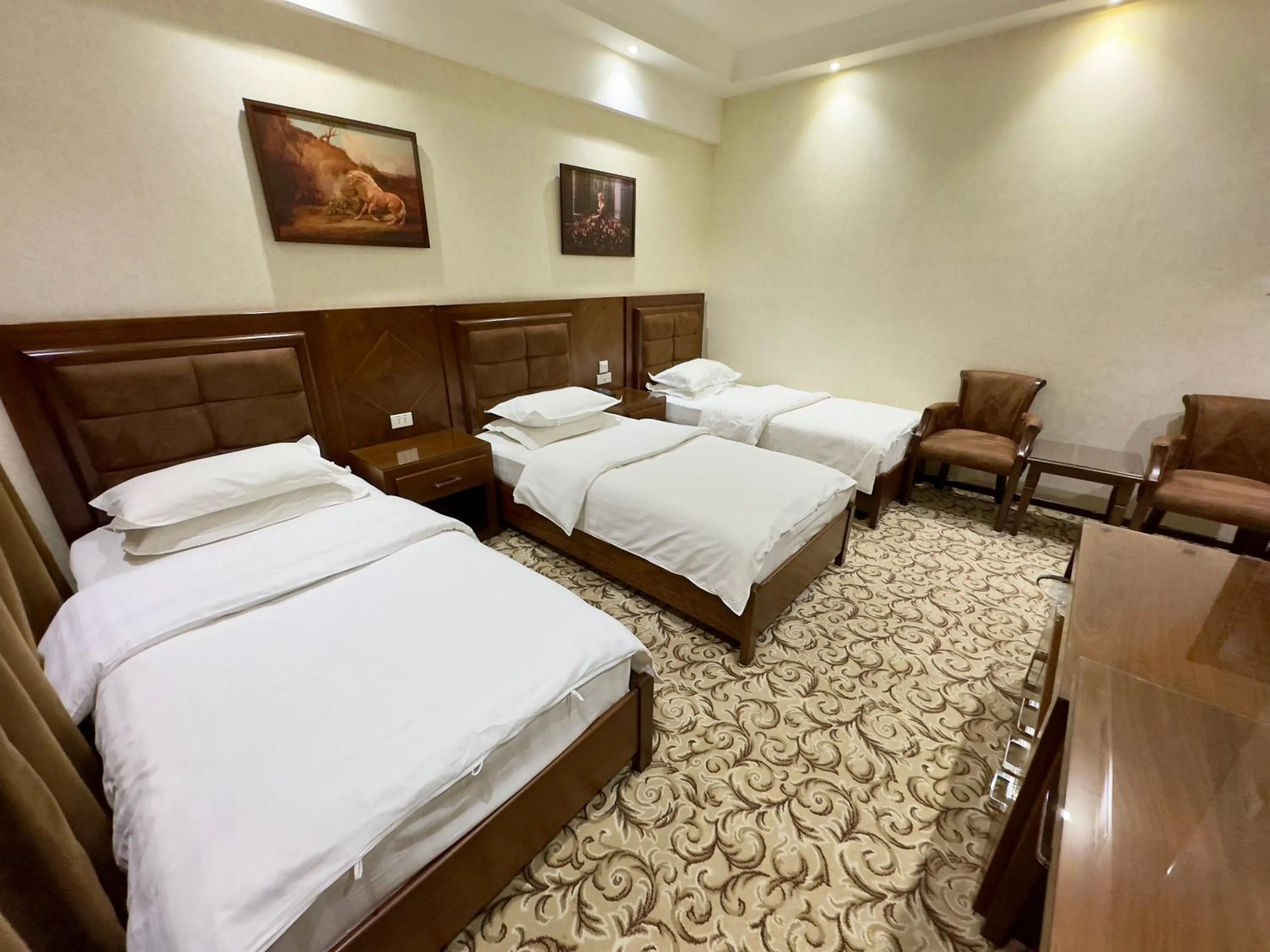 Standard Triple Room in Hotel Sultan