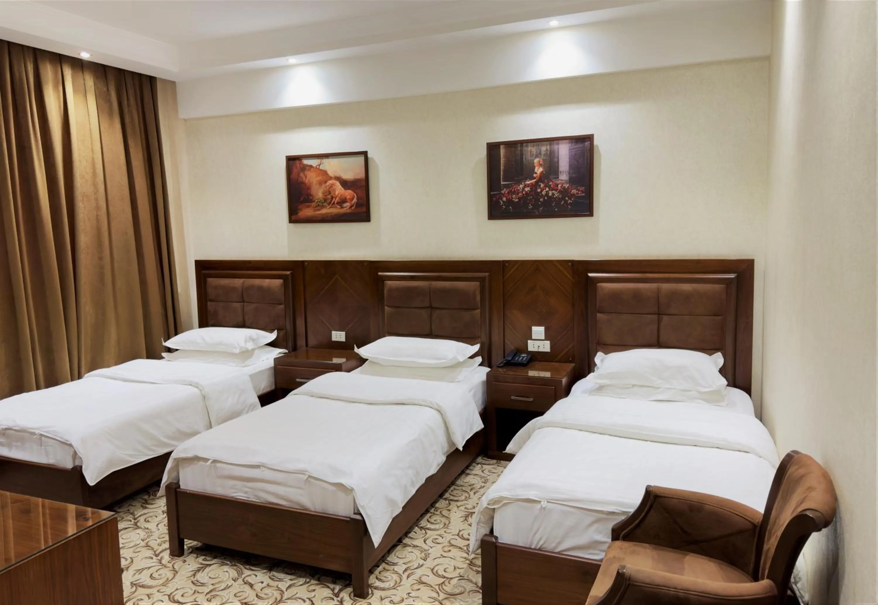 Standard Triple Room in Hotel Sultan