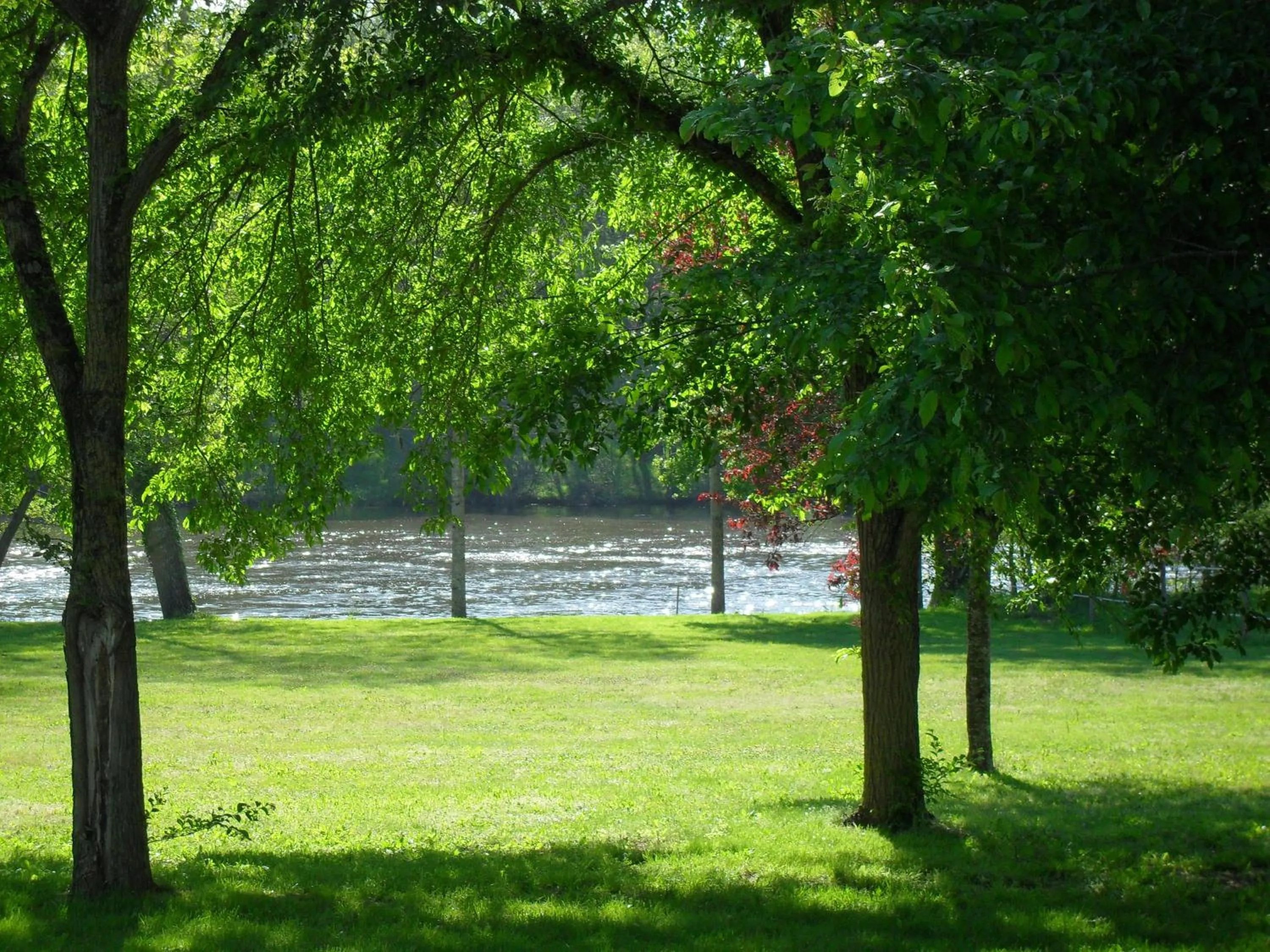 River view in Logis Hôtel Val de Vienne