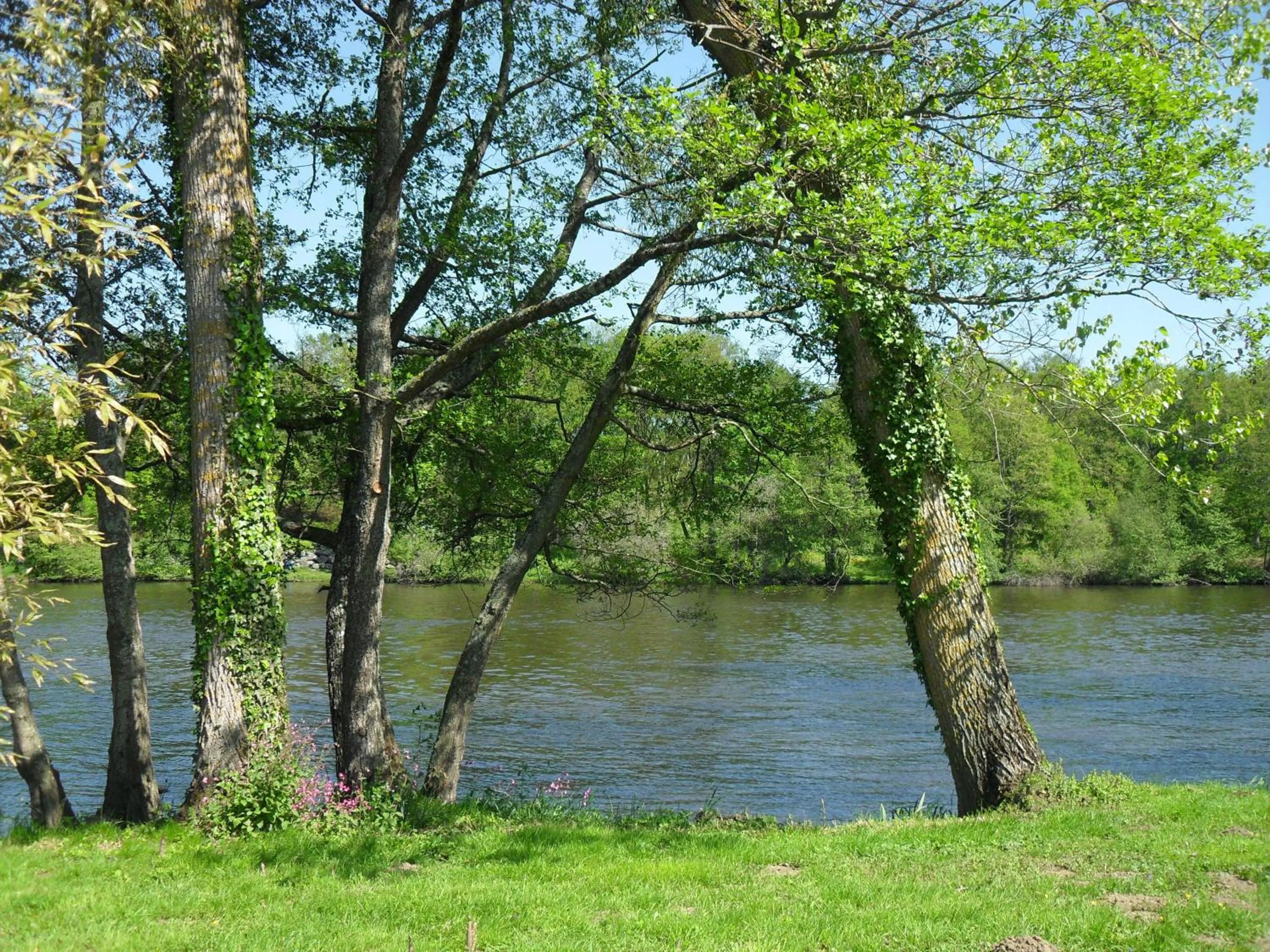 River view in Logis Hôtel Val de Vienne