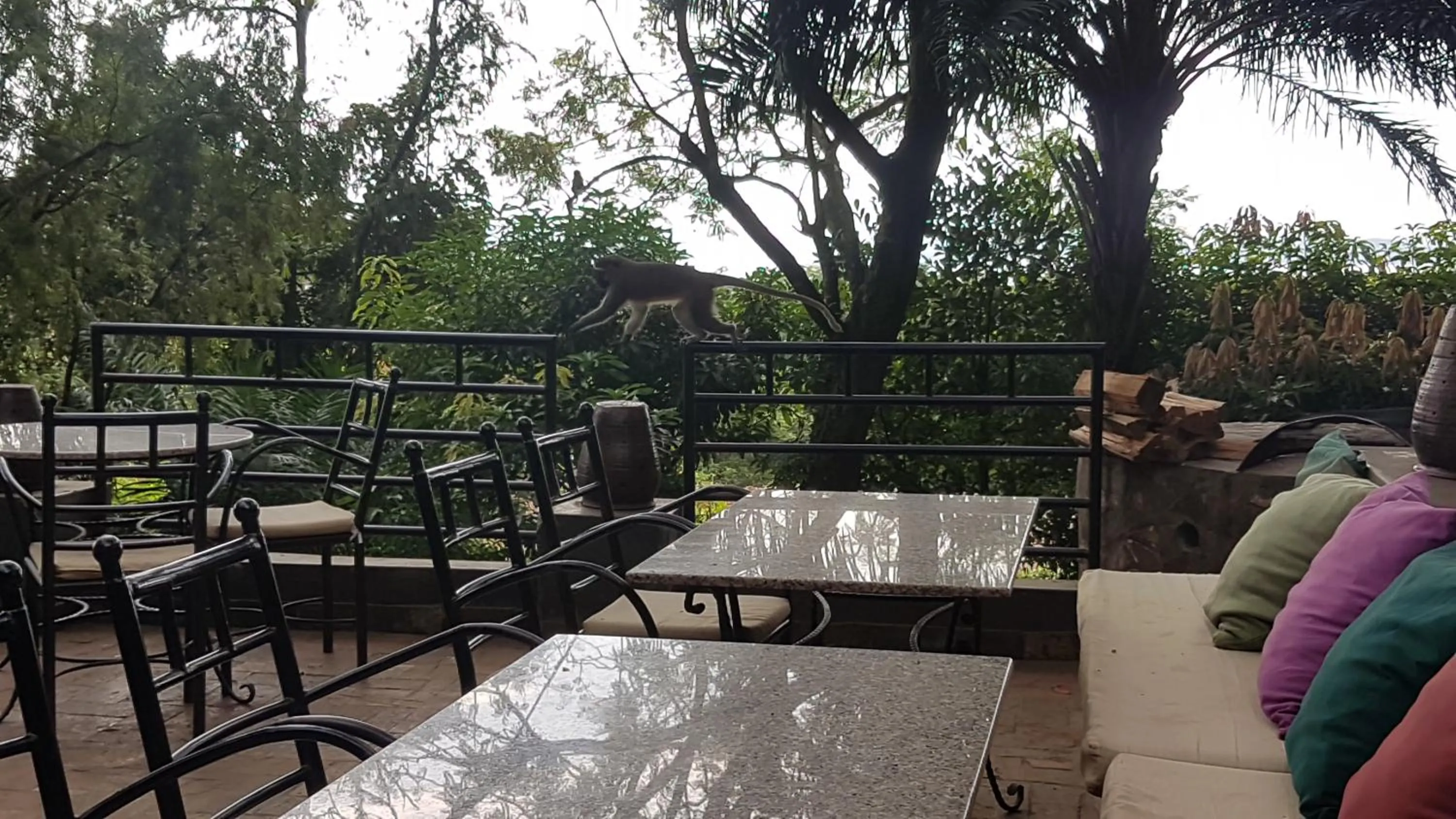 Kampala Forest Resort - KFR Lodge