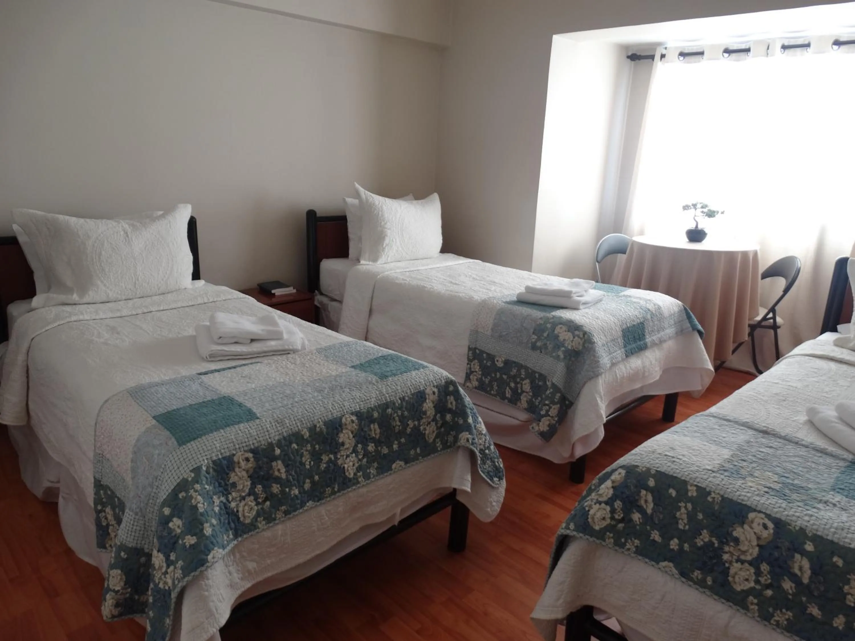 Triple Room with Shared Bathroom - single occupancy in Hostal Pehuenche