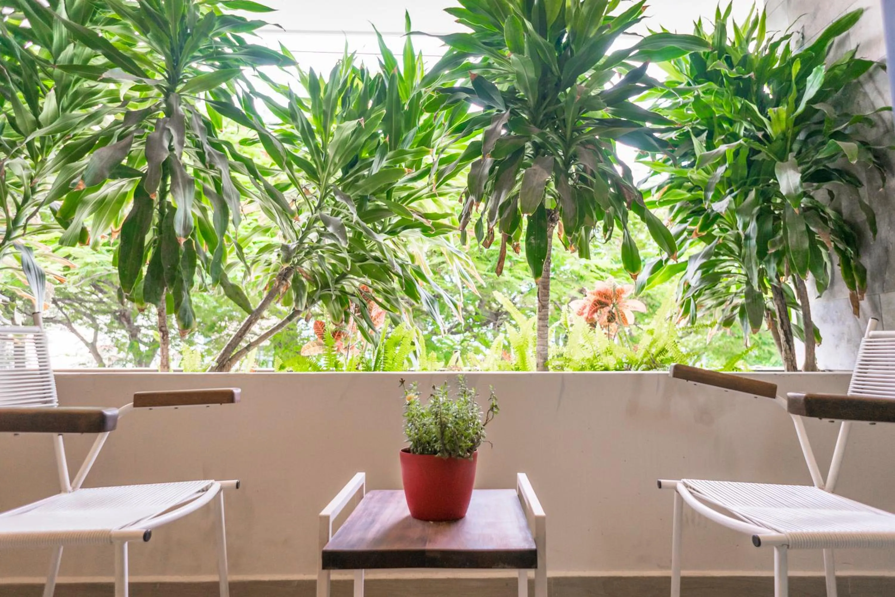 Patio in Opal Suites Apartments