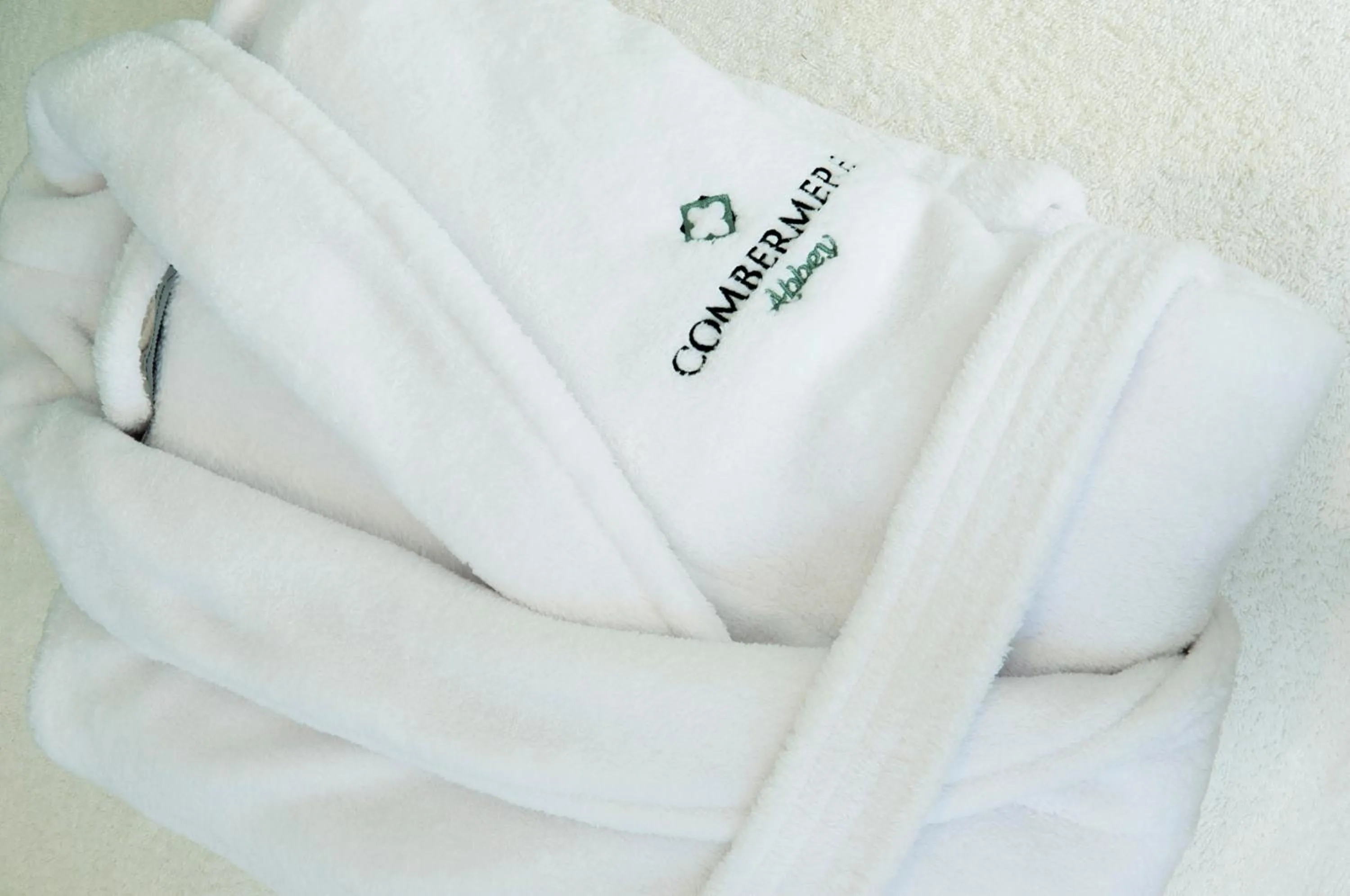 Decorative detail in The North Wing - Combermere Abbey