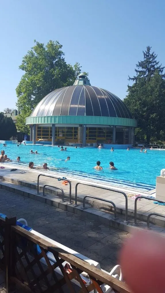Swimming pool in Albina apartman