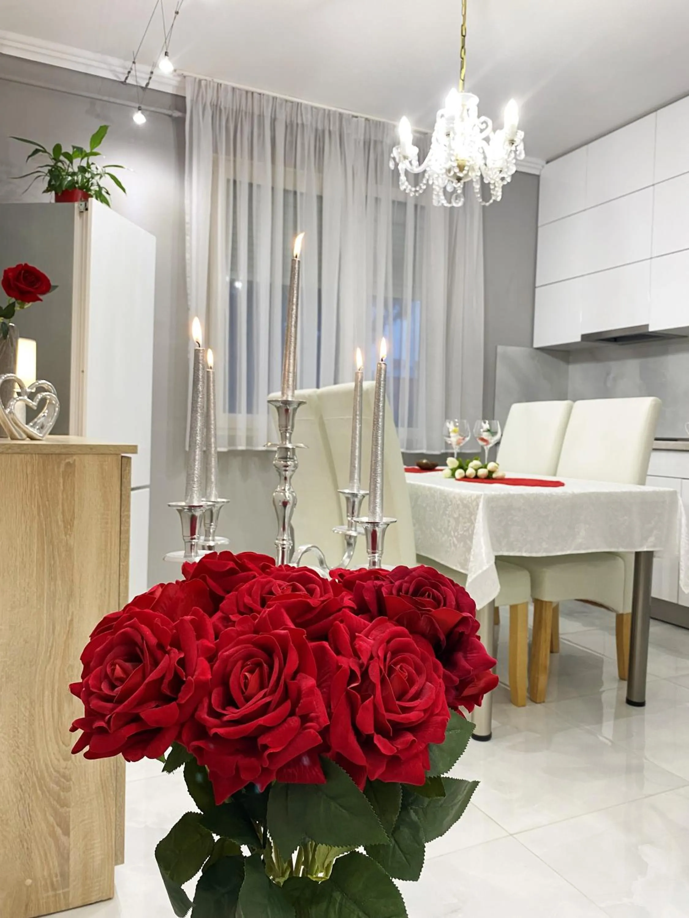 Kitchen or kitchenette in Albina apartman