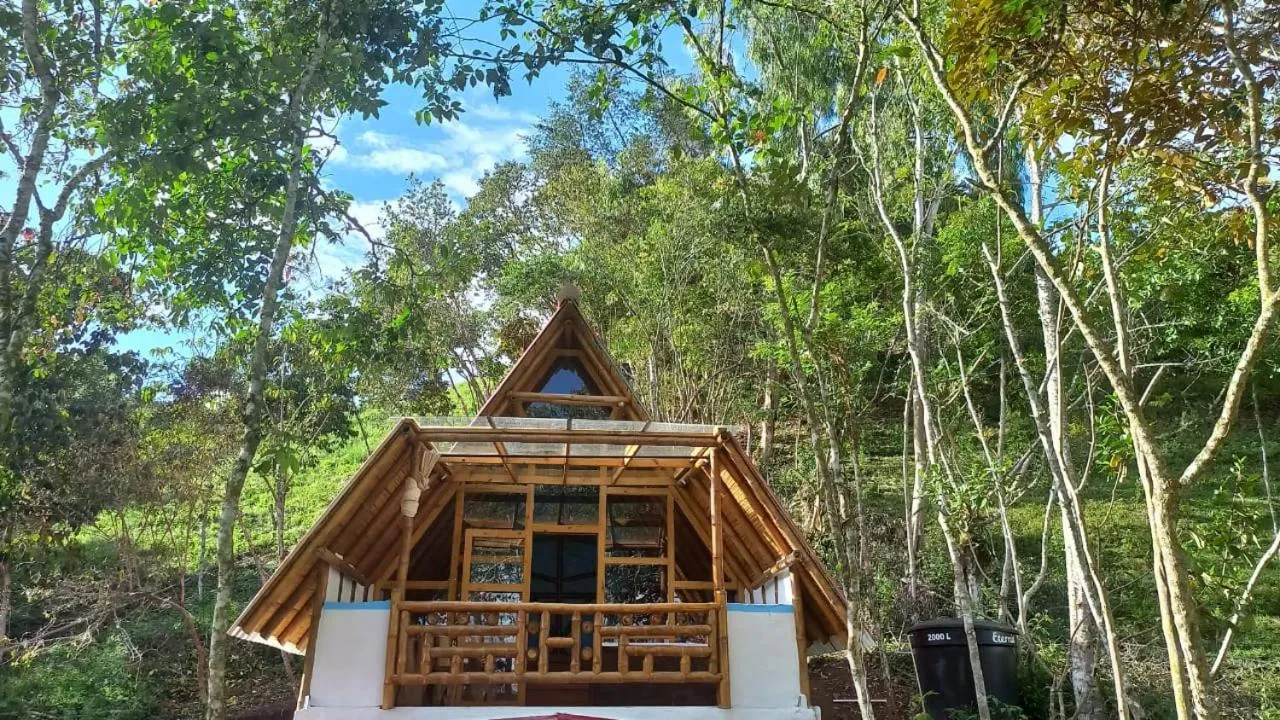 Hospedaje y Camping Buena Vista