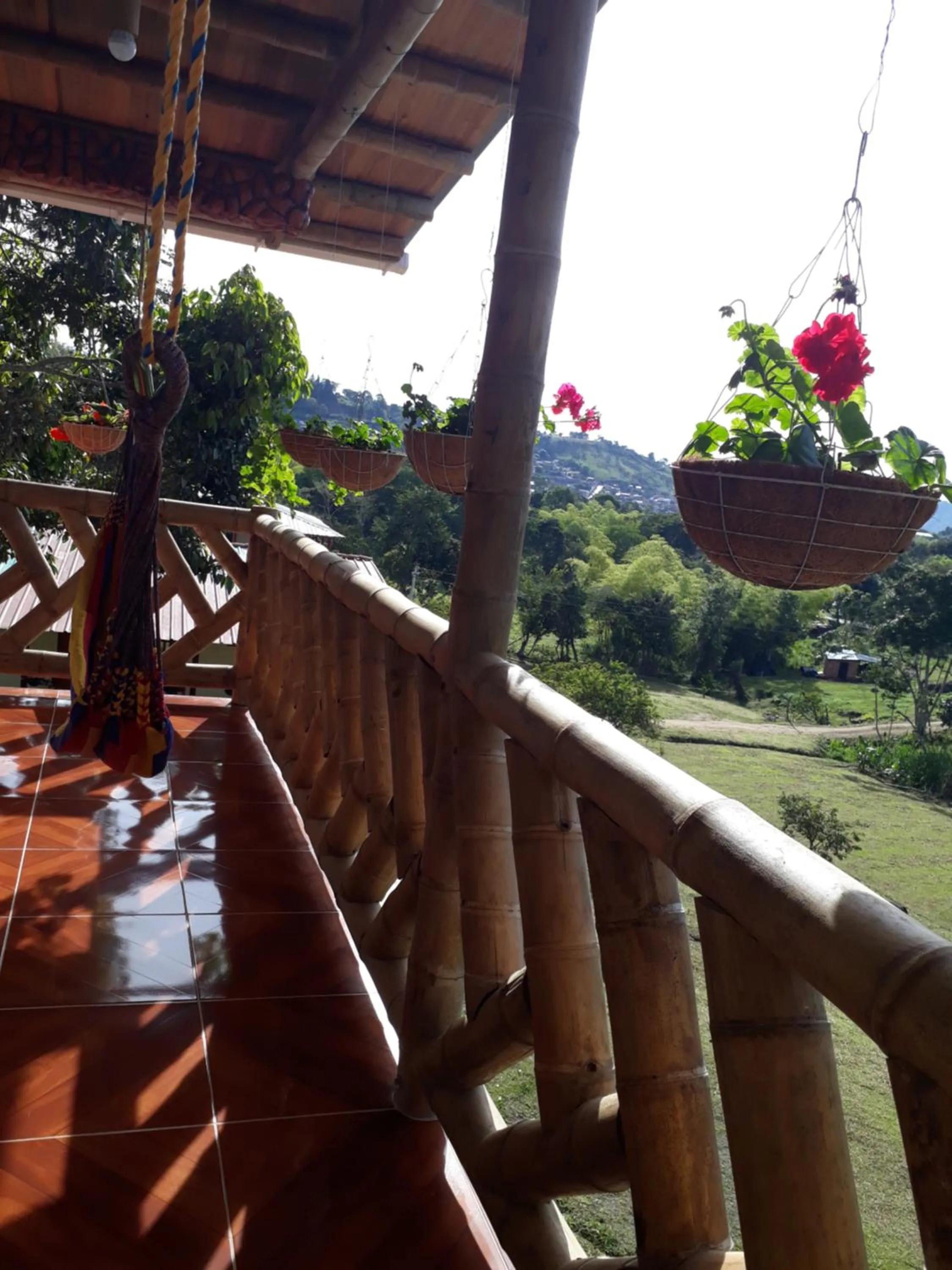 Hospedaje y Camping Buena Vista