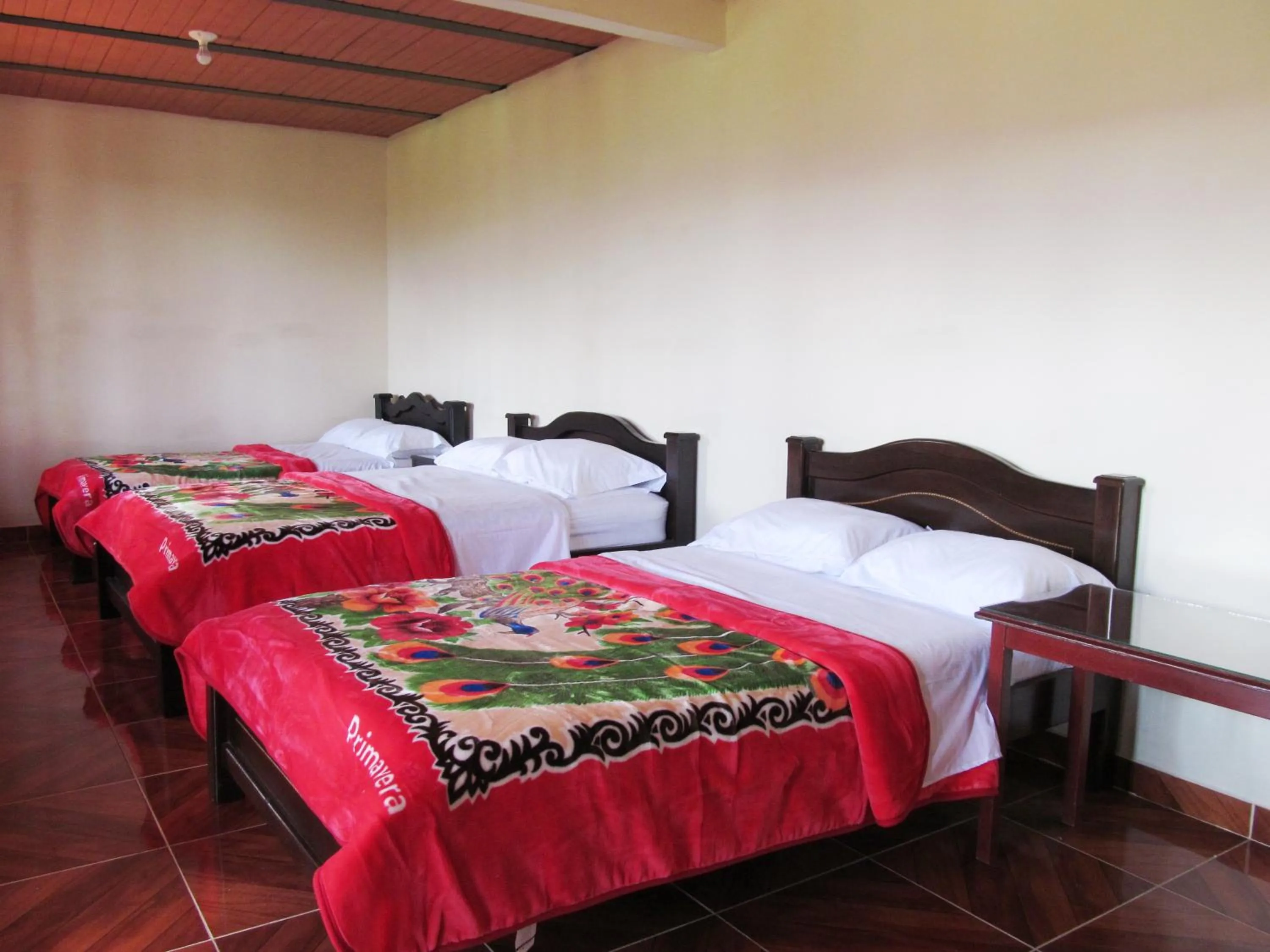 Bed in Hospedaje y Camping Buena Vista