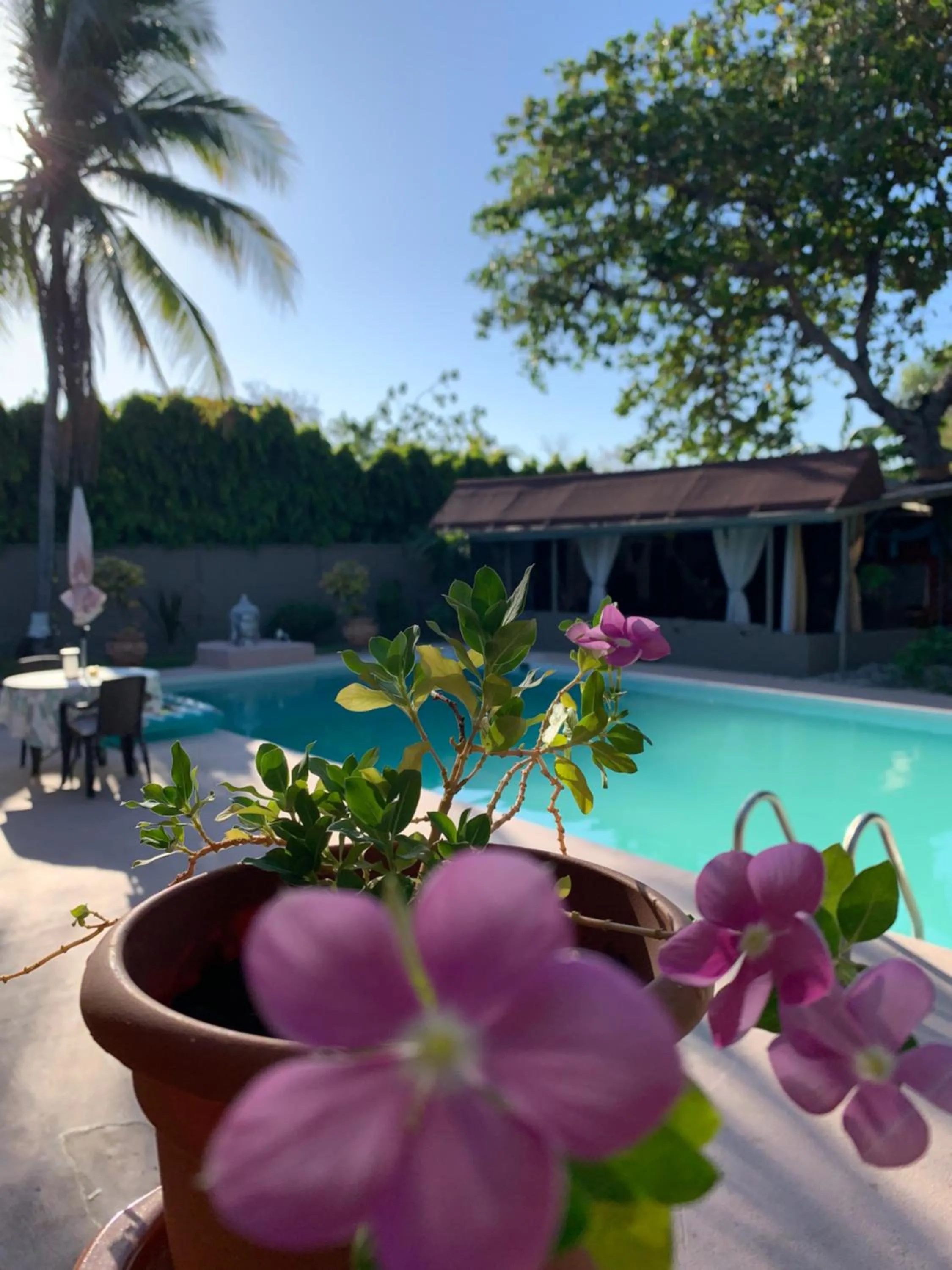 B&B EL Litoral