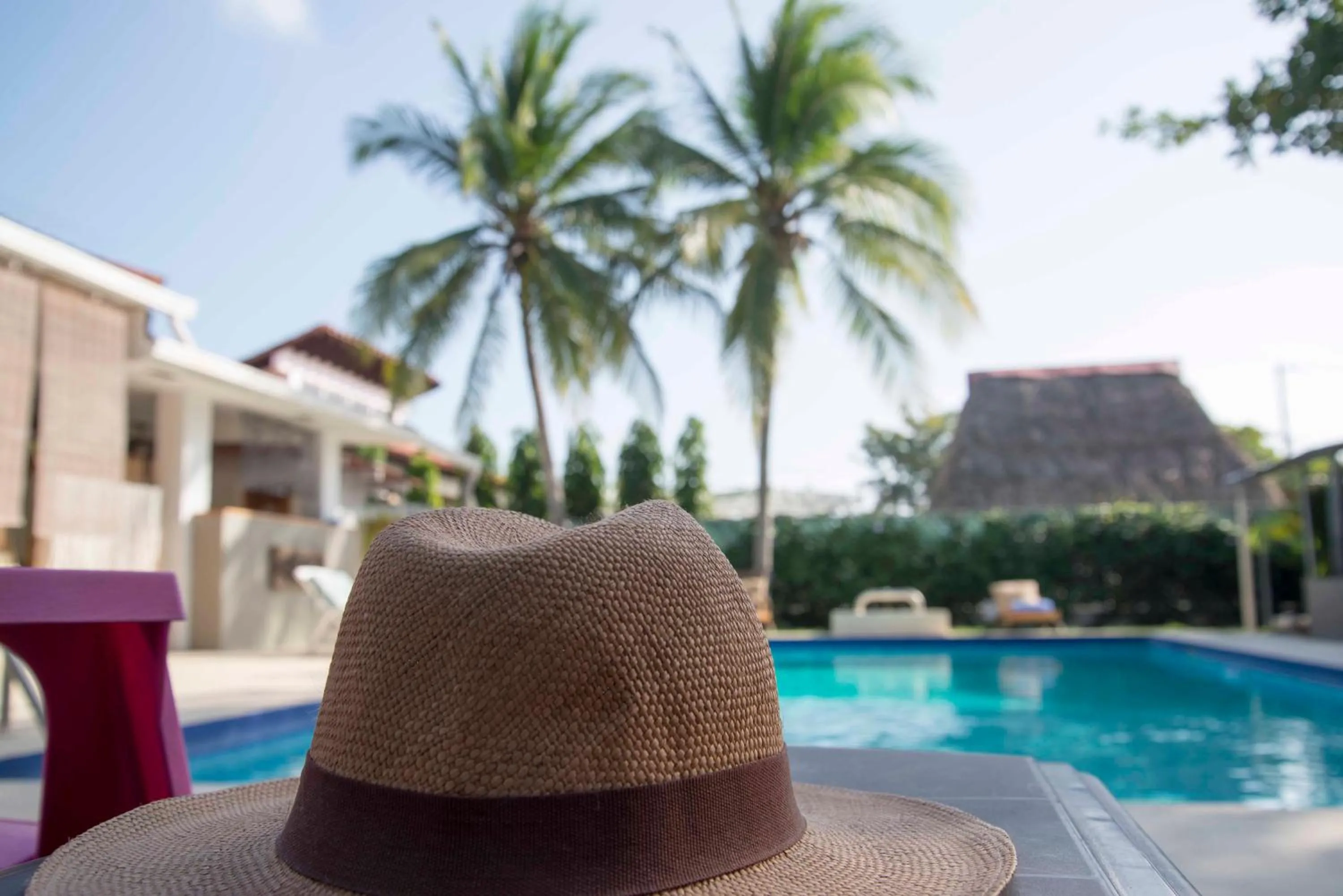 Swimming pool in B&B EL Litoral