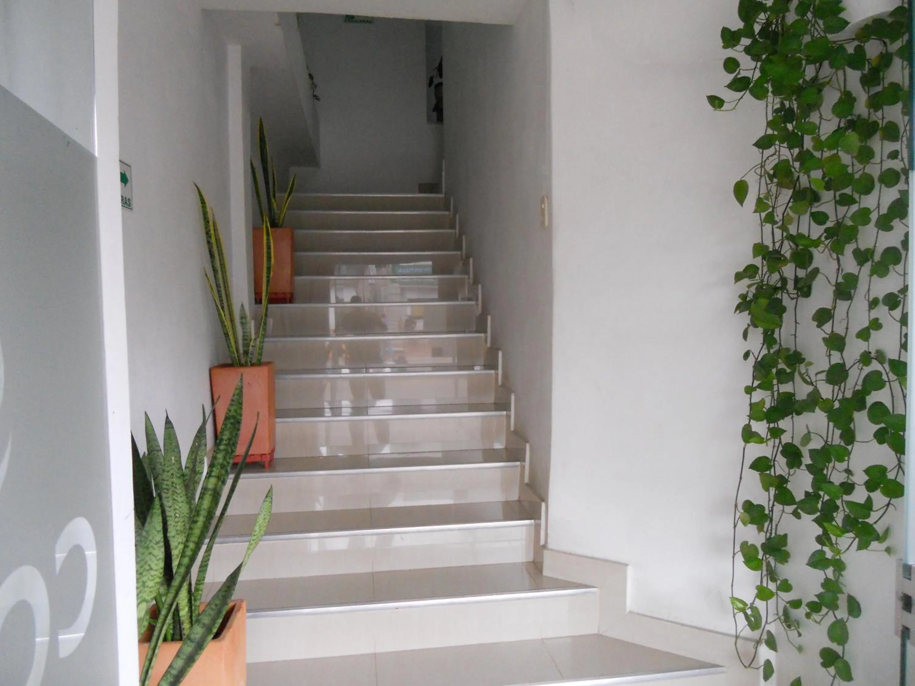 Lobby or reception in Hotel Cosmos Sincelejo