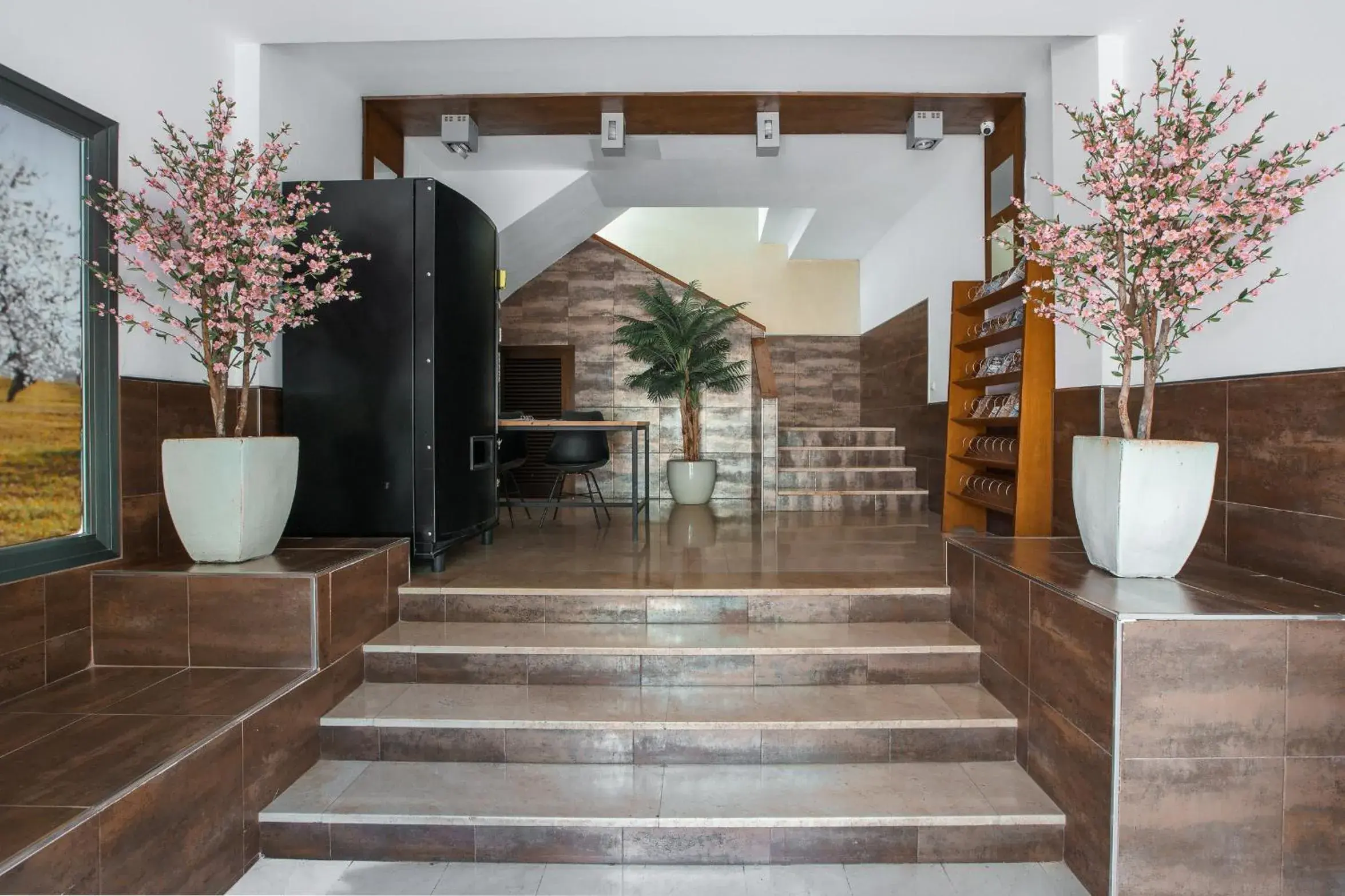 Lobby or reception in Apartamentos San Francisco Lobby or reception in Apartamentos San Francisco