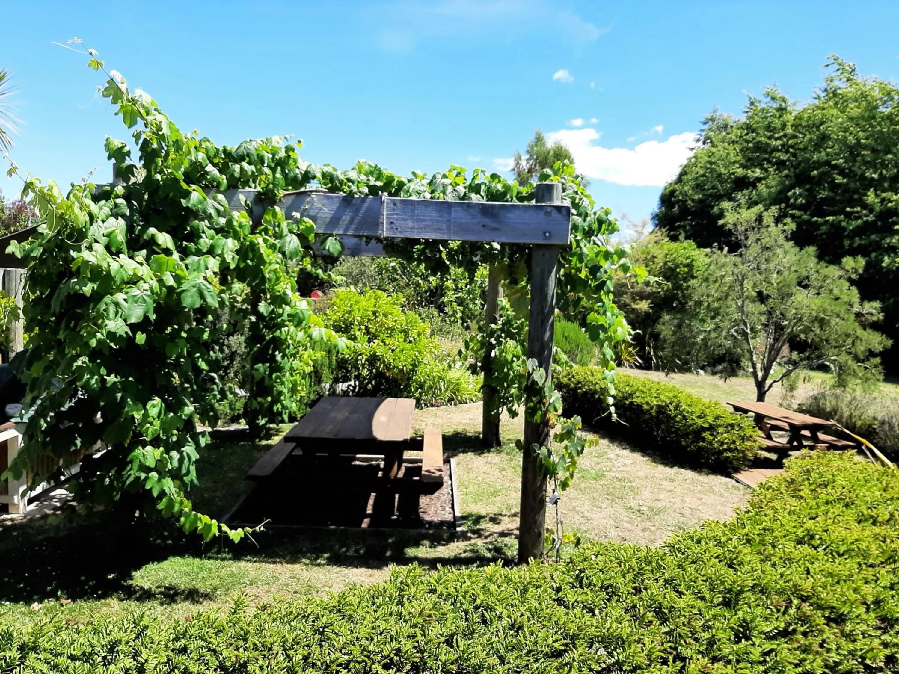 Property building in Eden's Edge Lodge