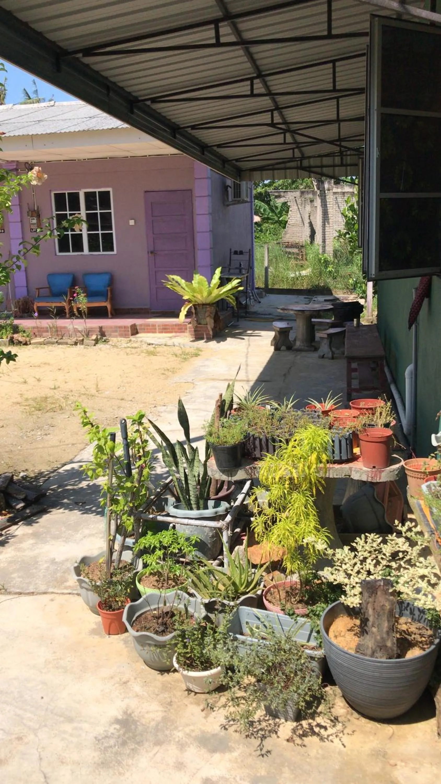 Homestay d SOFIA