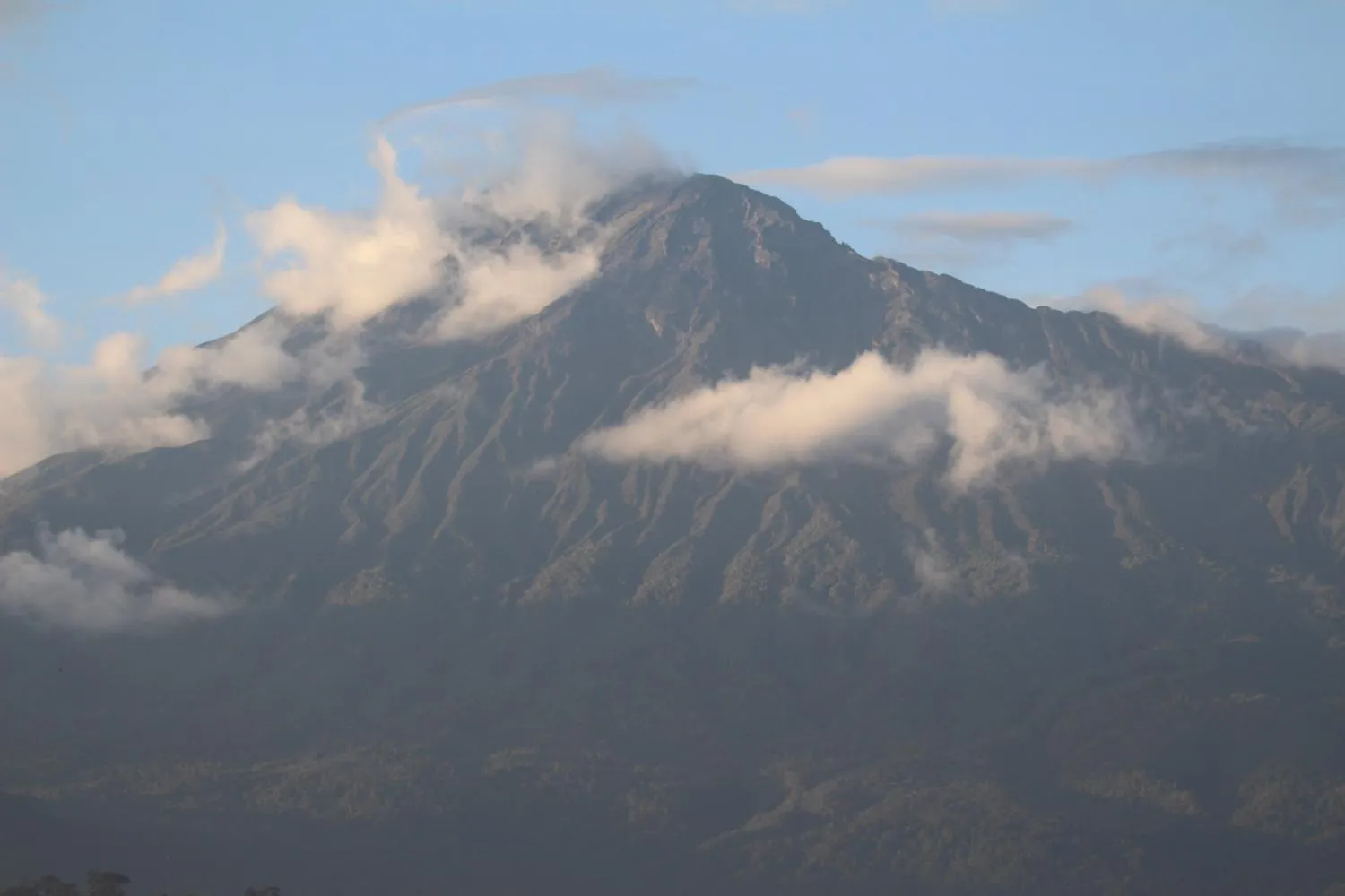 Boulevard Inn Mt Meru