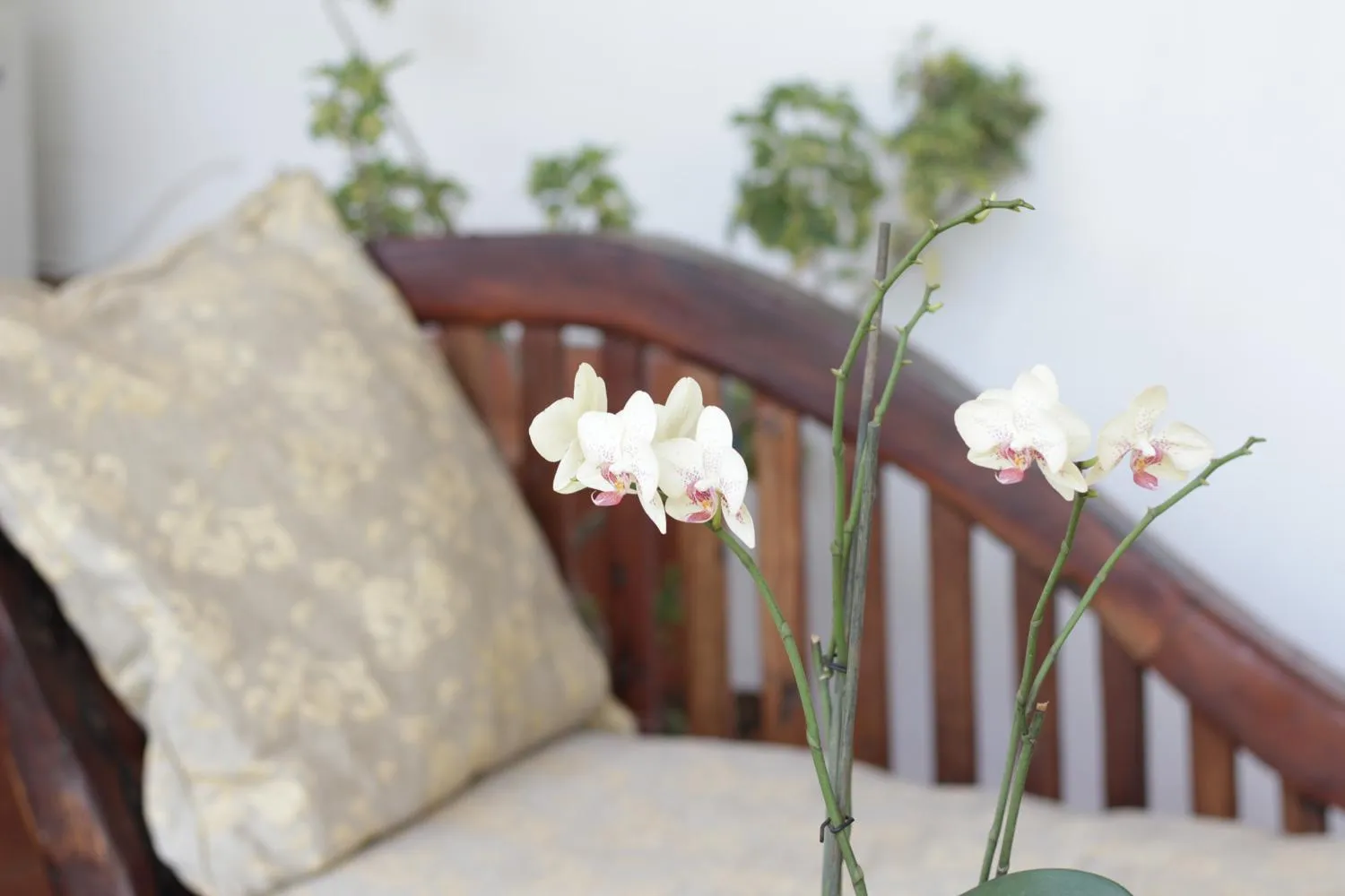 Boulevard Inn Mt Meru