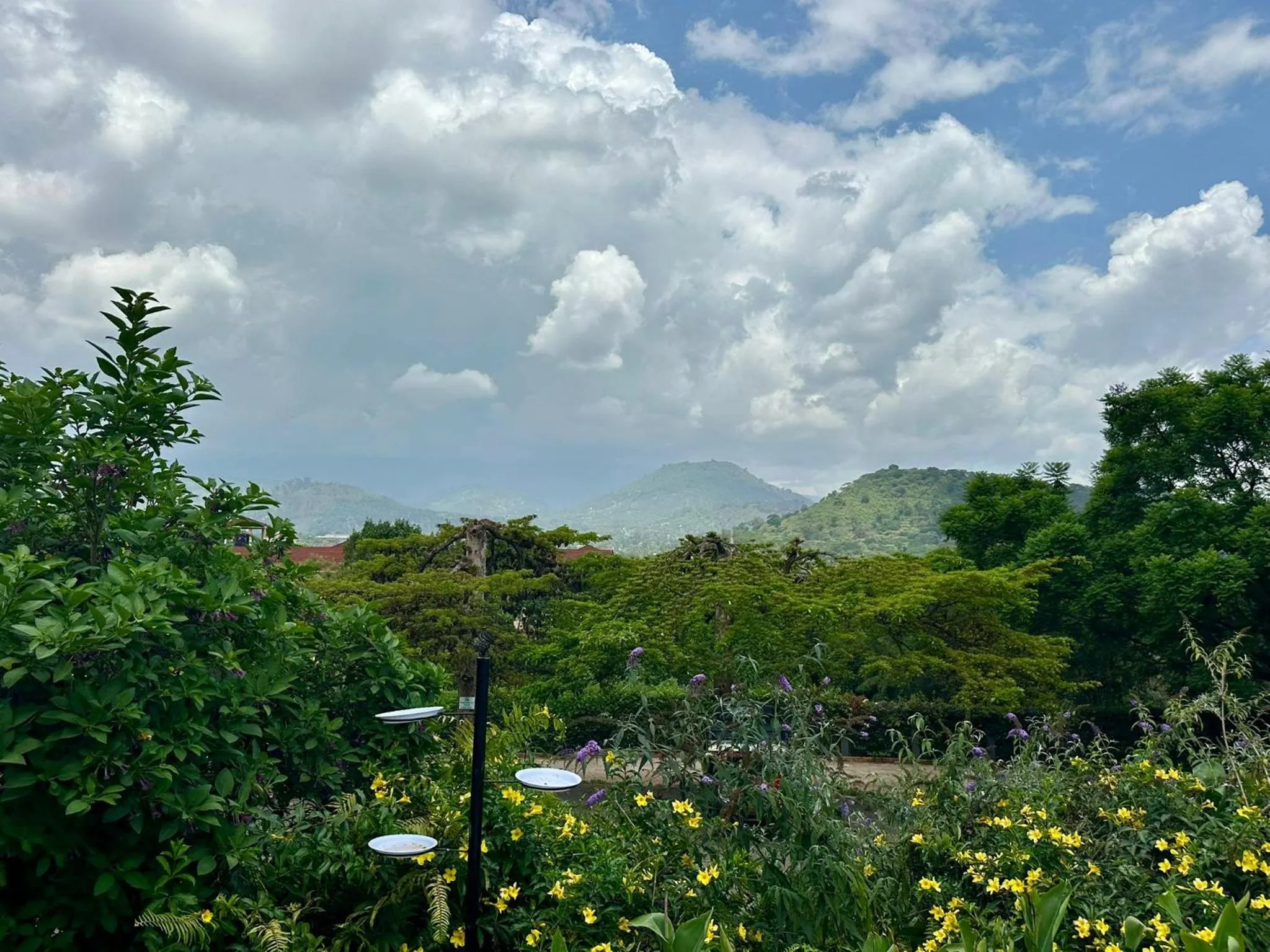 Boulevard Inn Mt Meru